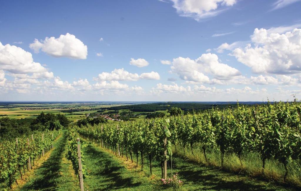 Kellerstöckl Weinblick I und II