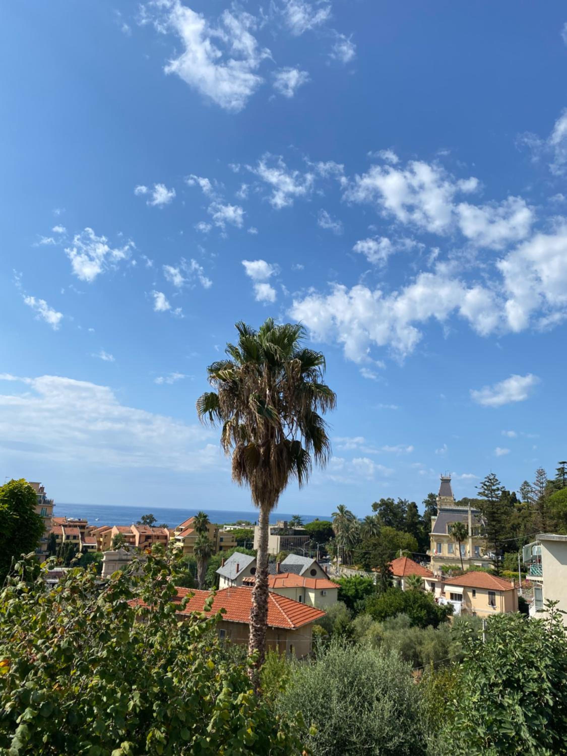 CASA MIMOSA: relax, vista mare, parcheggio gratis view 5