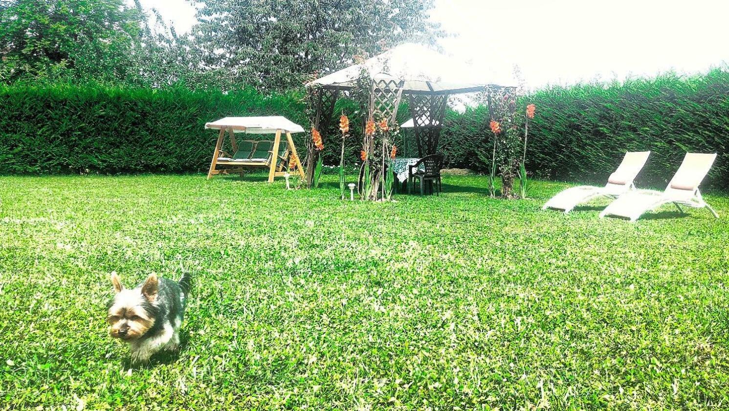 Photo 45