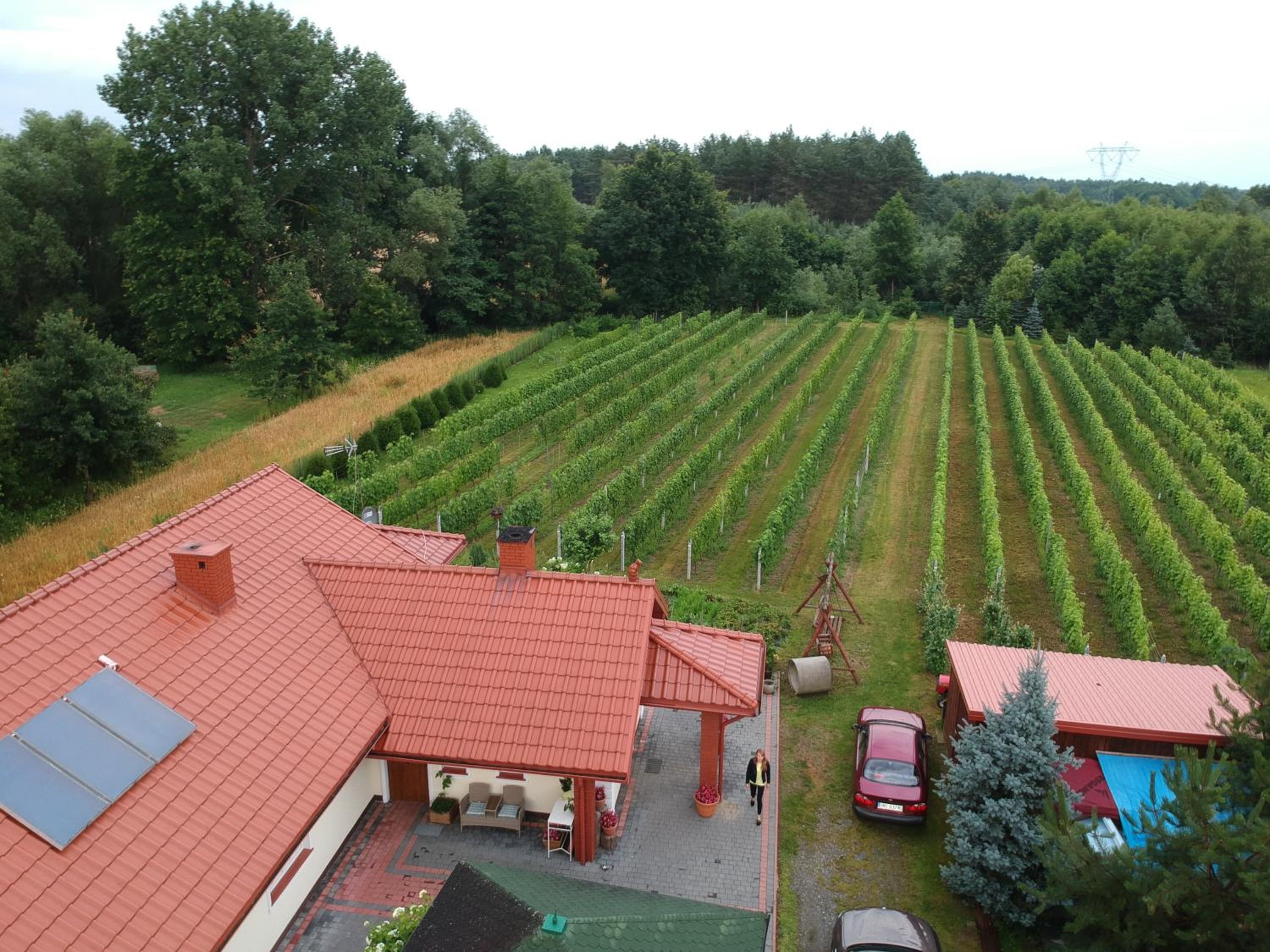 Agroturystyka ROGALA view 2