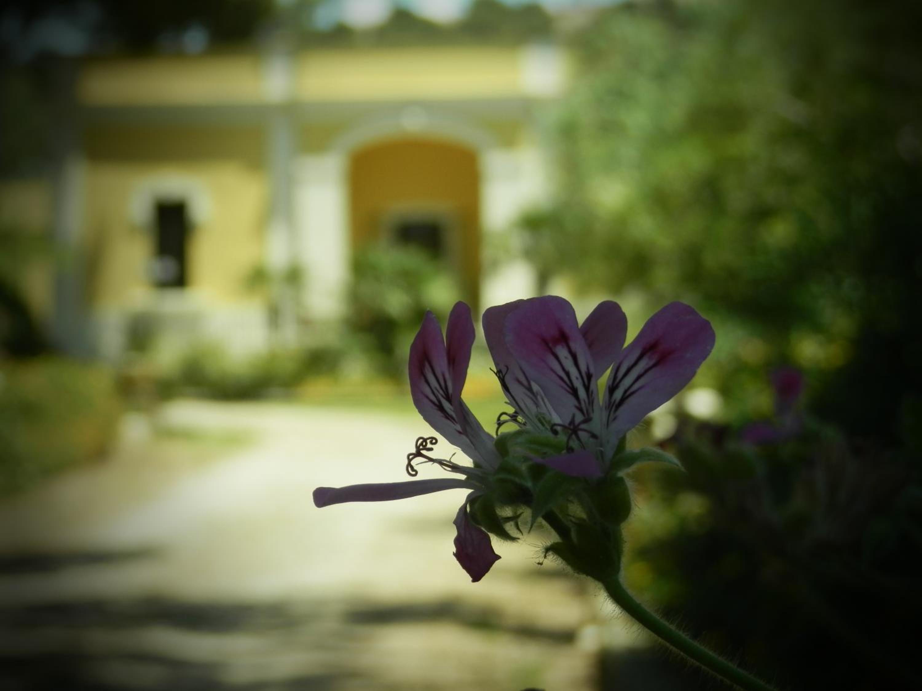 Dimora Relais Excelsa