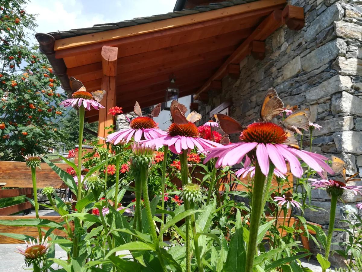 Baita Carnale, Montagna in Valtellina photo 5