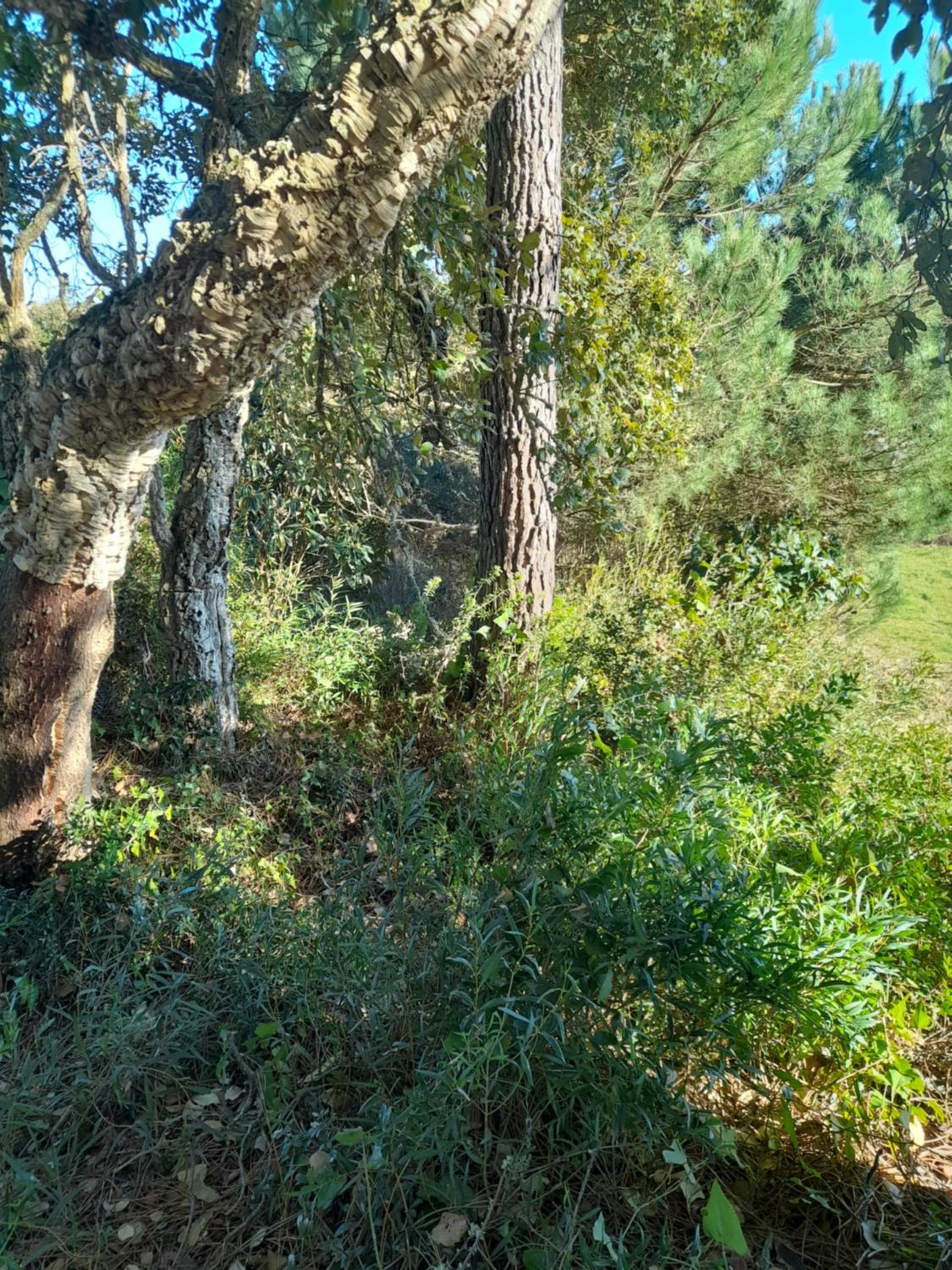 Photo 22