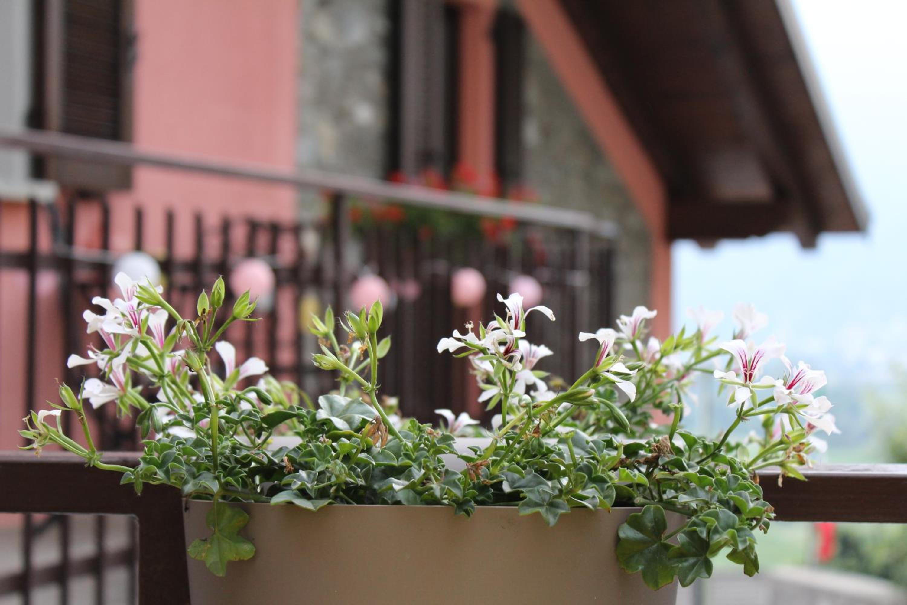 apartment vista monastero view 4