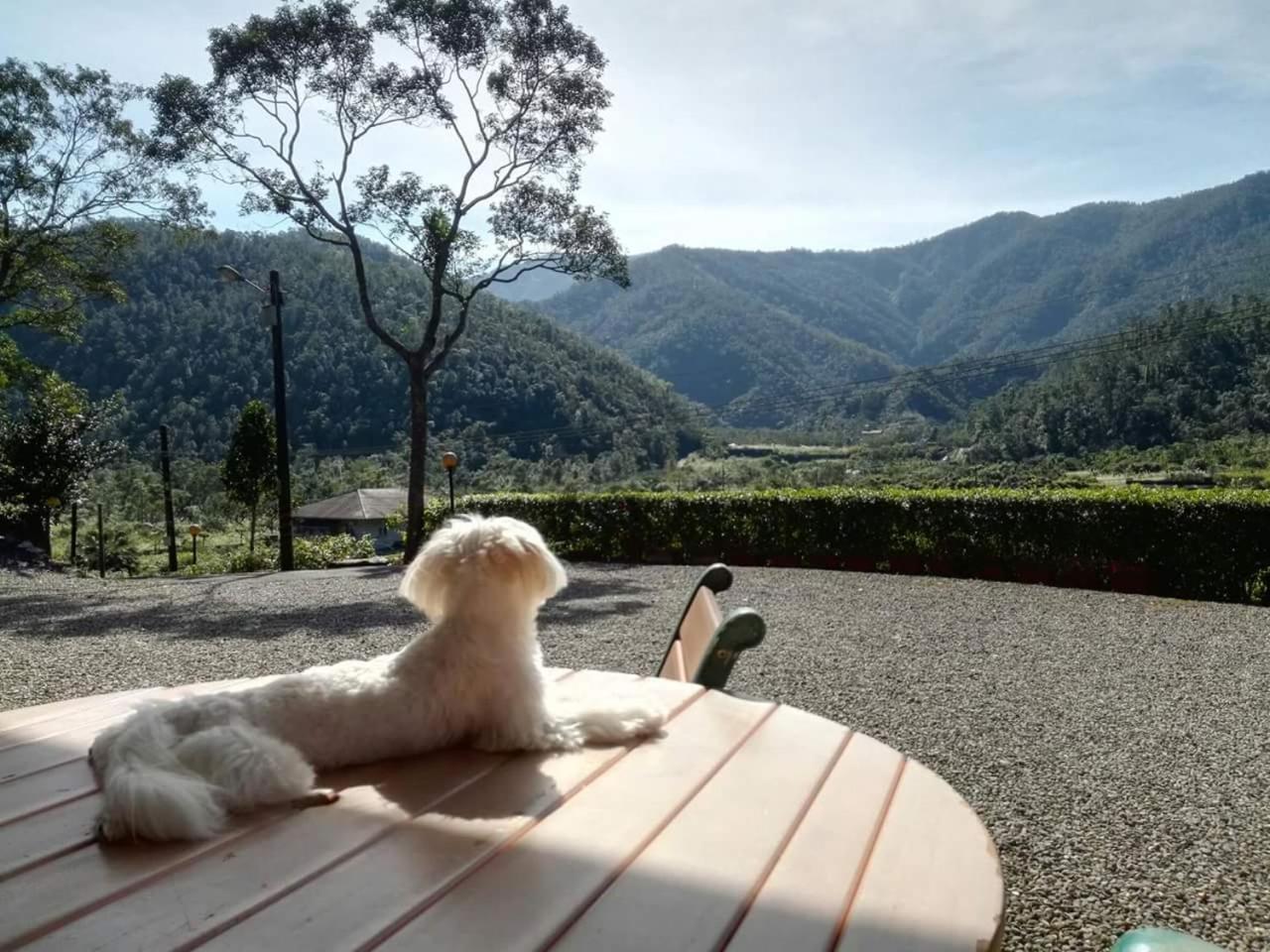 Song Lin Homestay