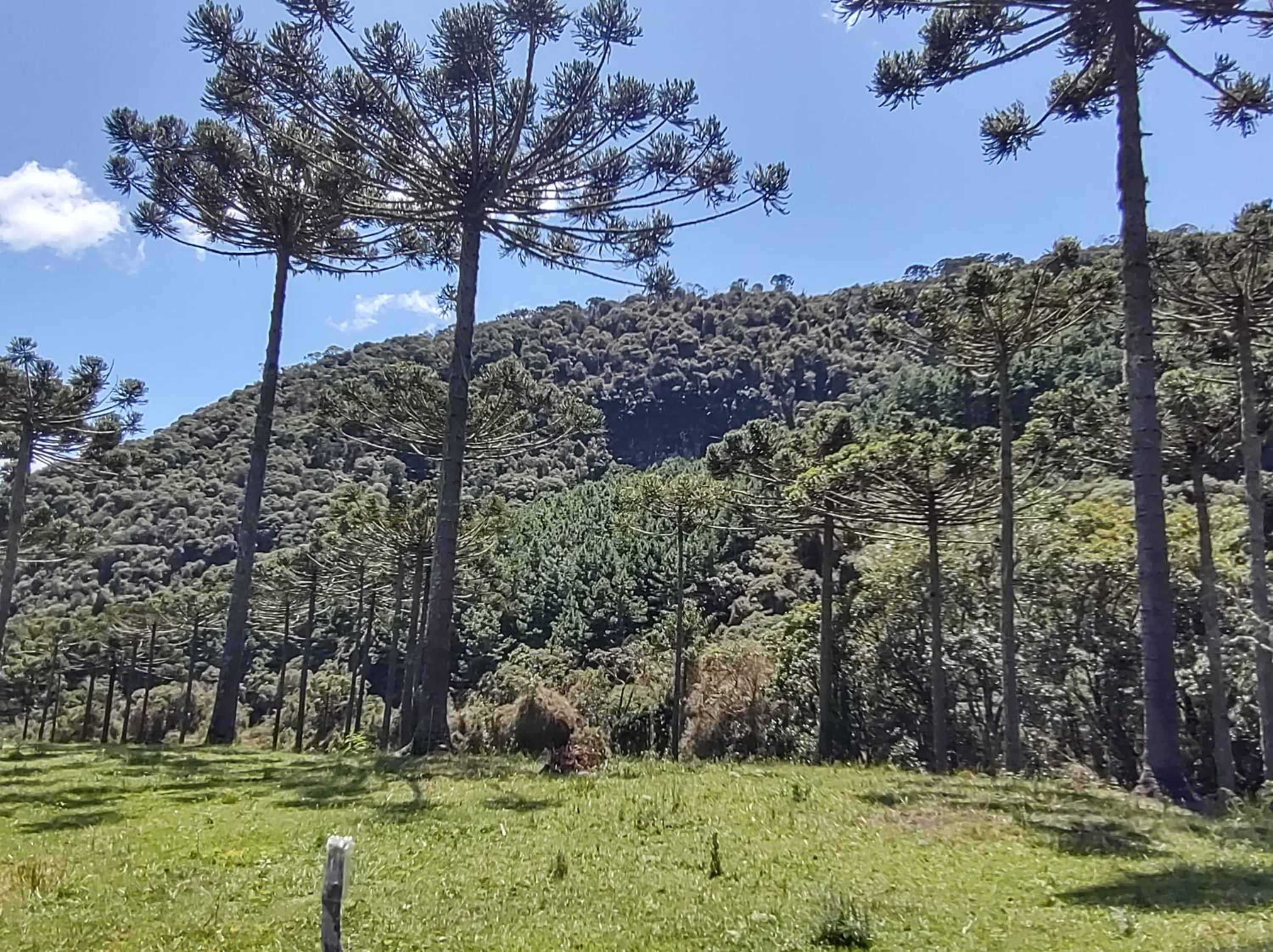 Hotel e Pousada Montanha Real
