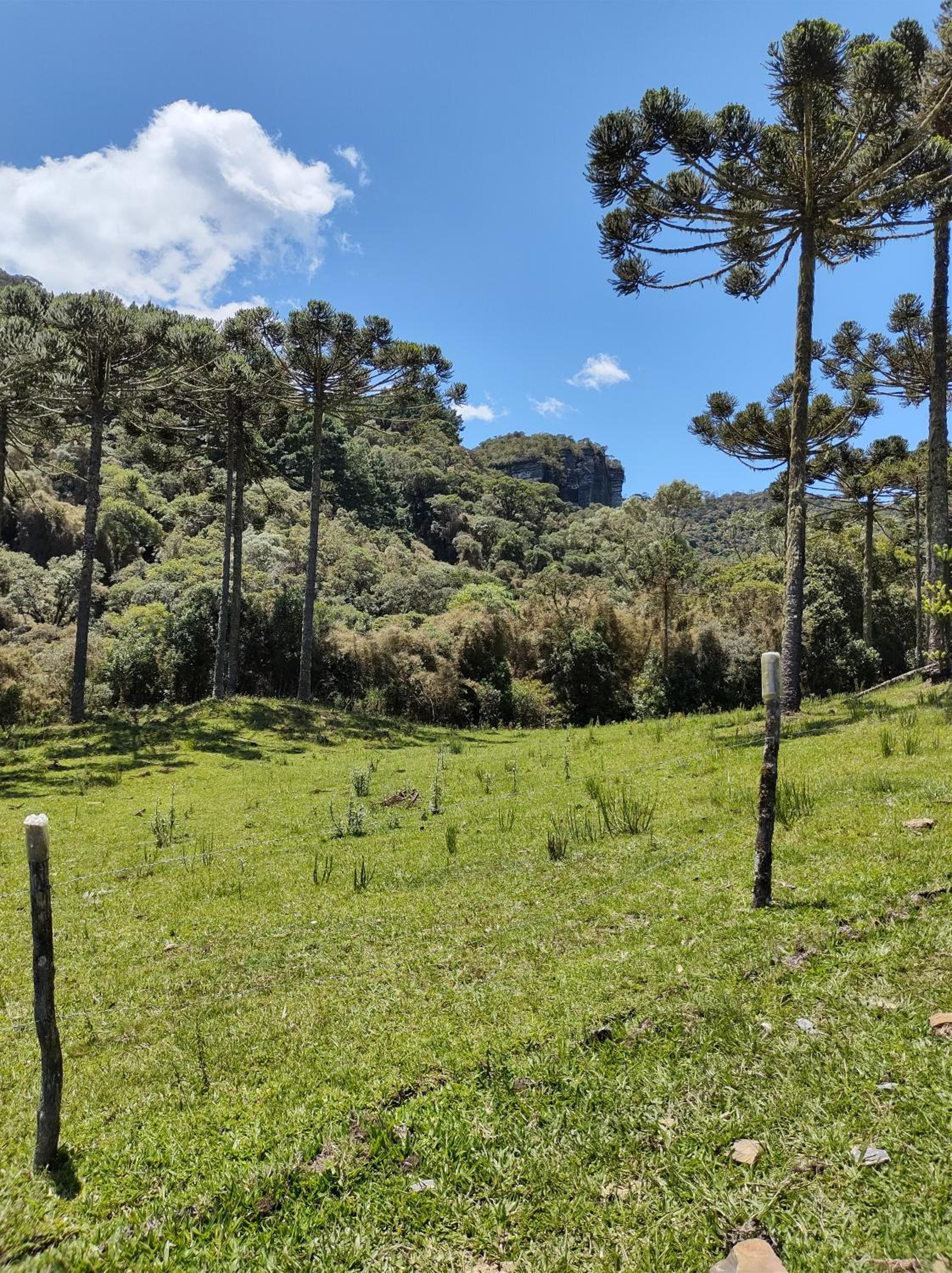 Hotel e Pousada Montanha Real