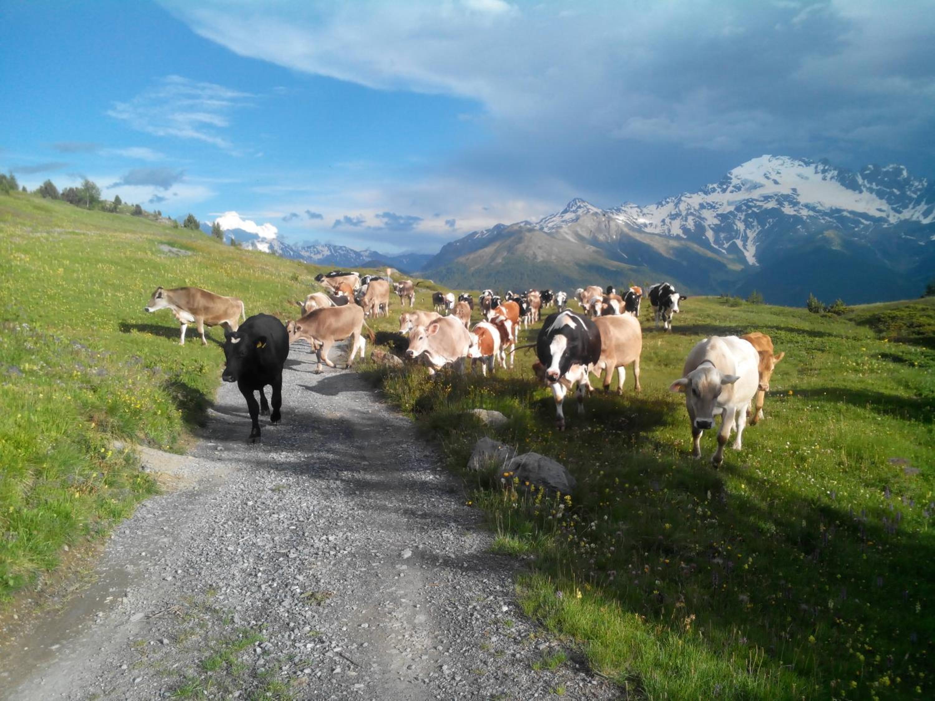 Agriturismo Raethia