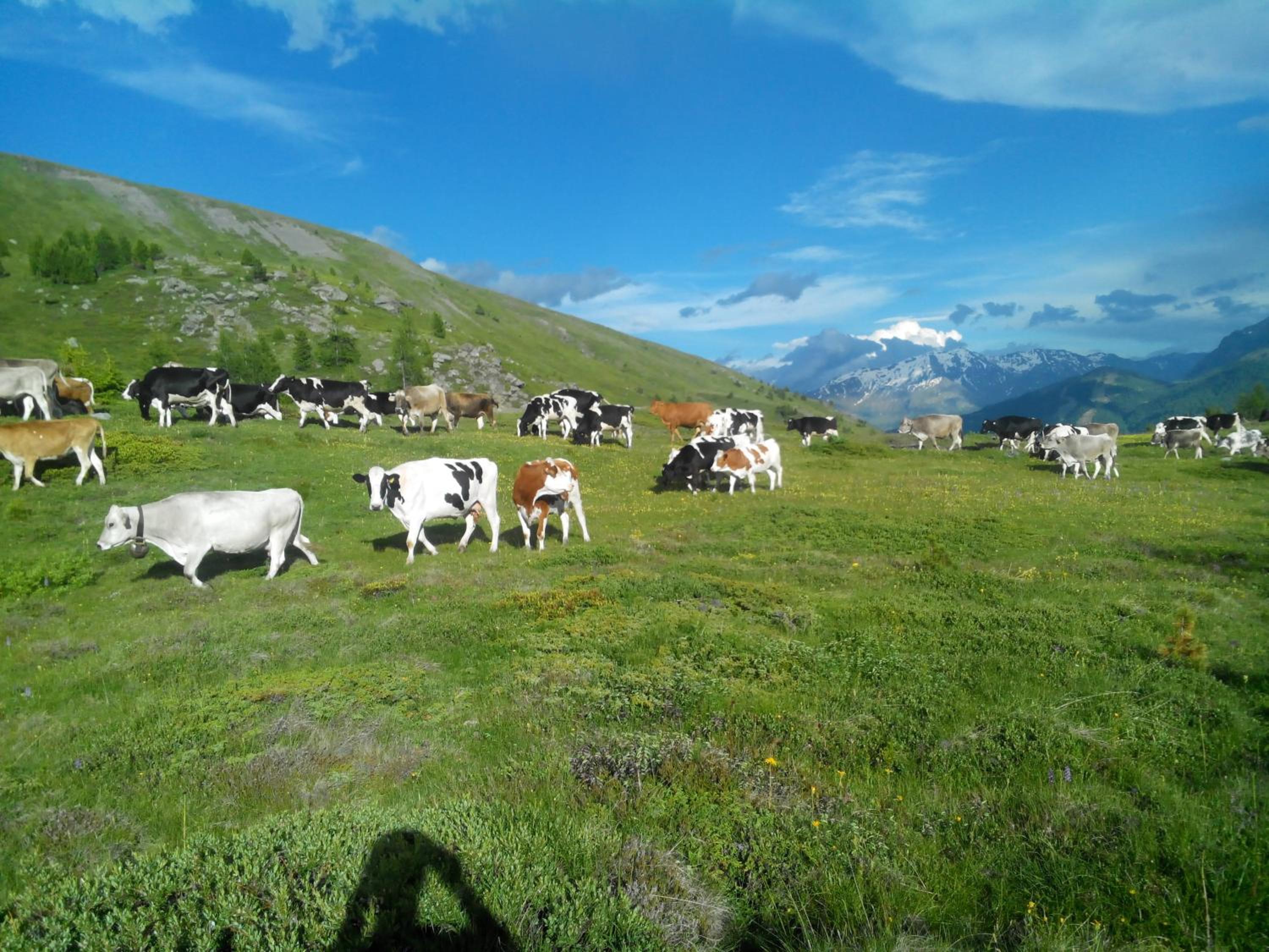 Agriturismo Raethia