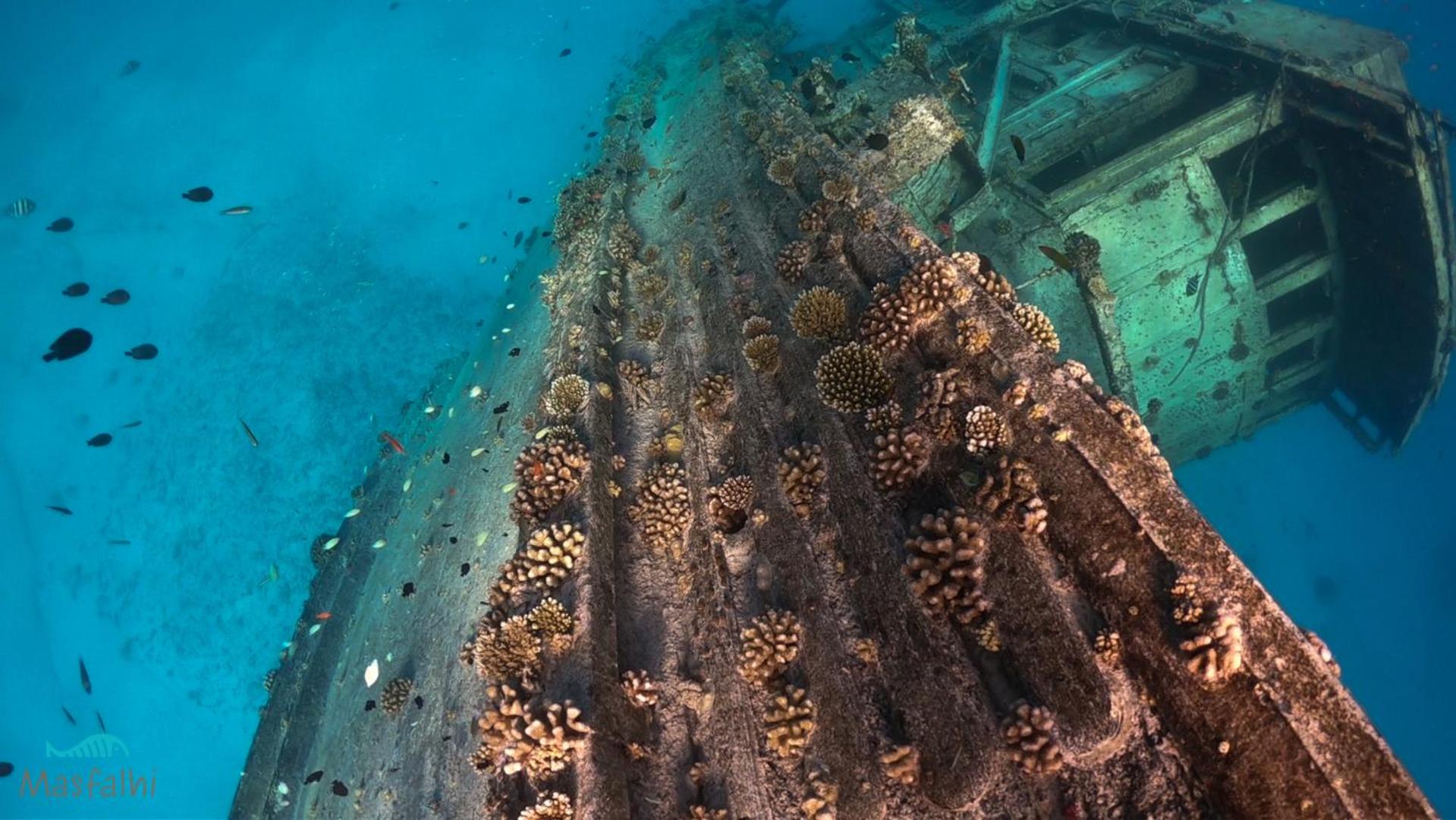 Masfalhi View Inn