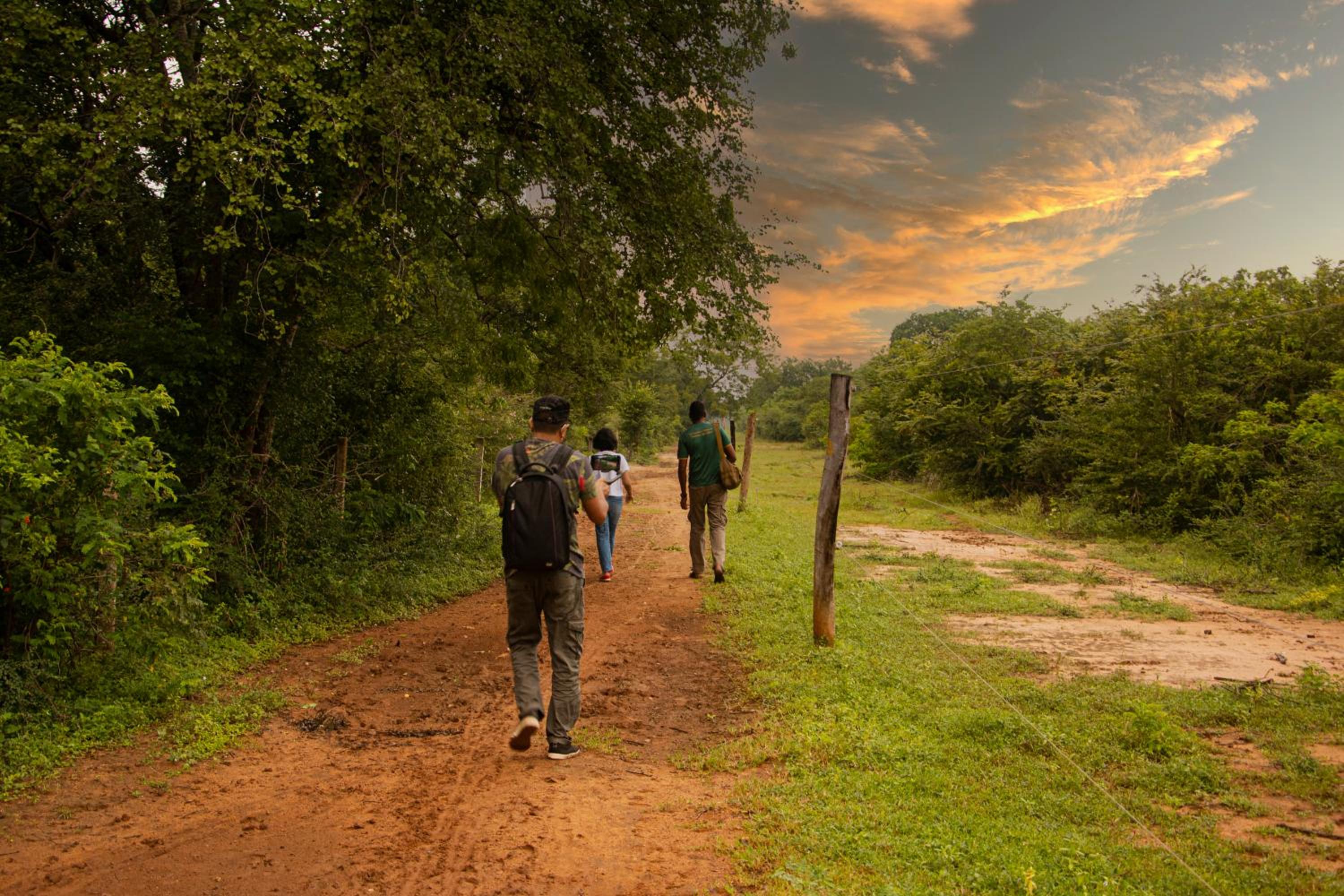 Mahoora Udawalawe - by Eco Team