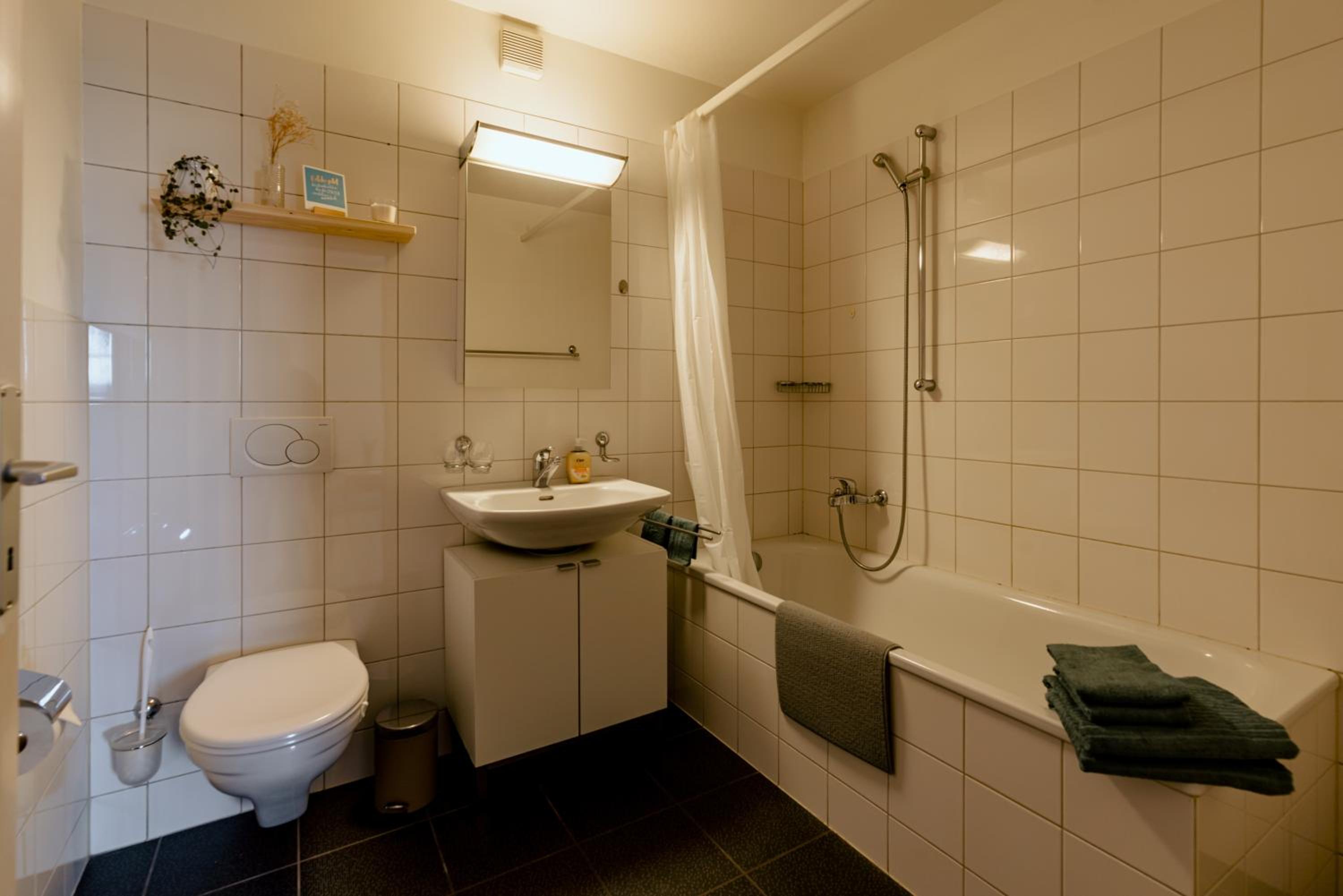 Eigene Wohnung im Stadtzentrum mit wunderschöner Dachterrasse view 5