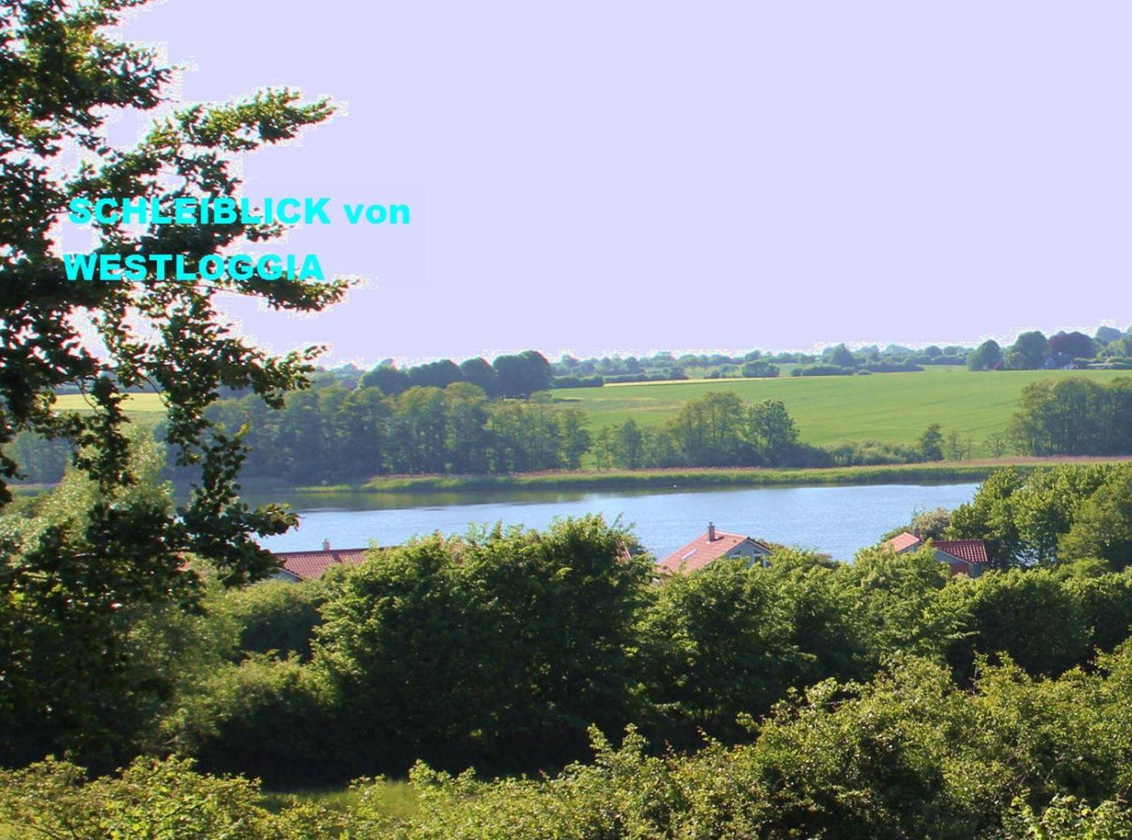 Hafenblick