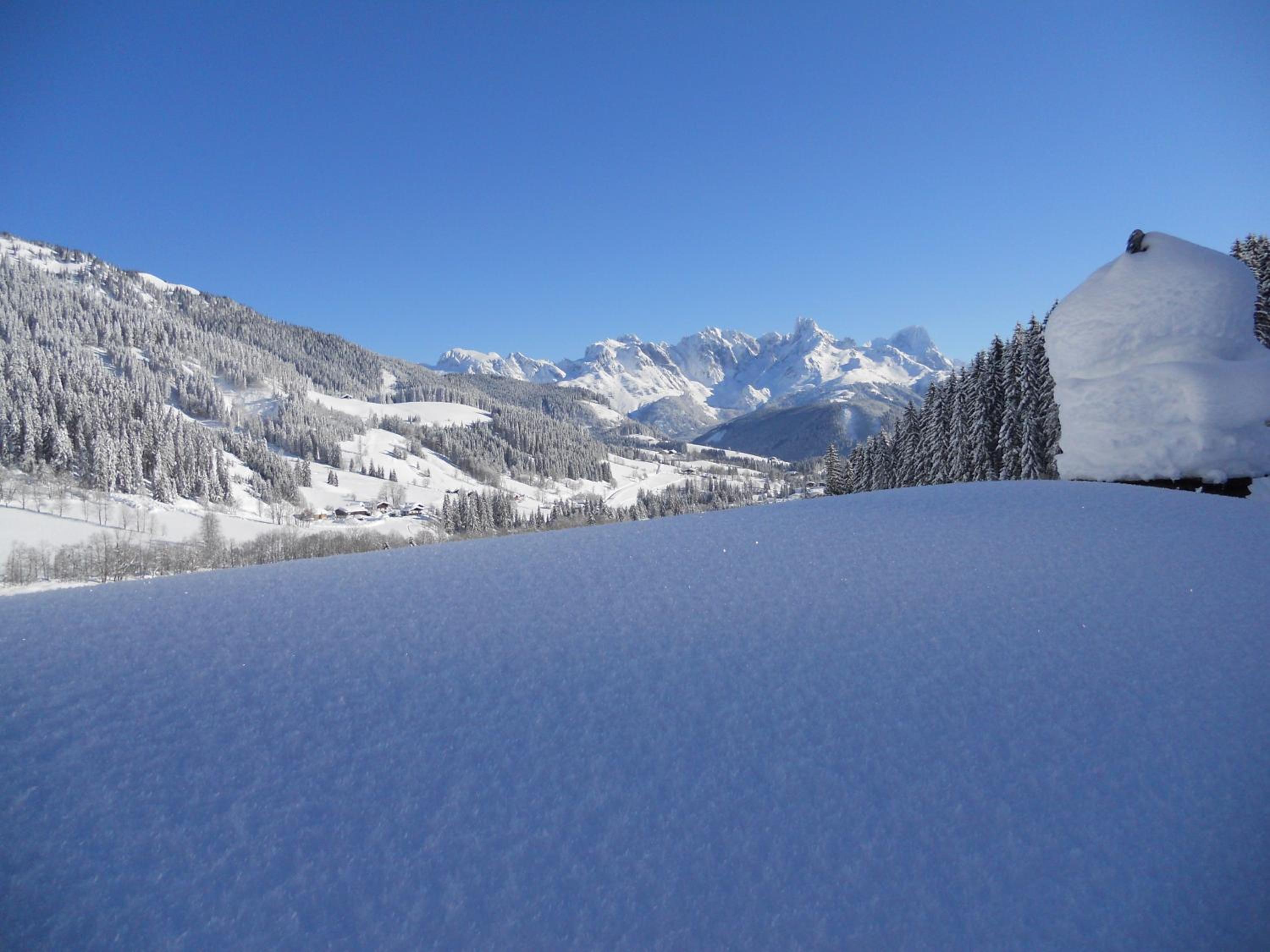 Vorderhof