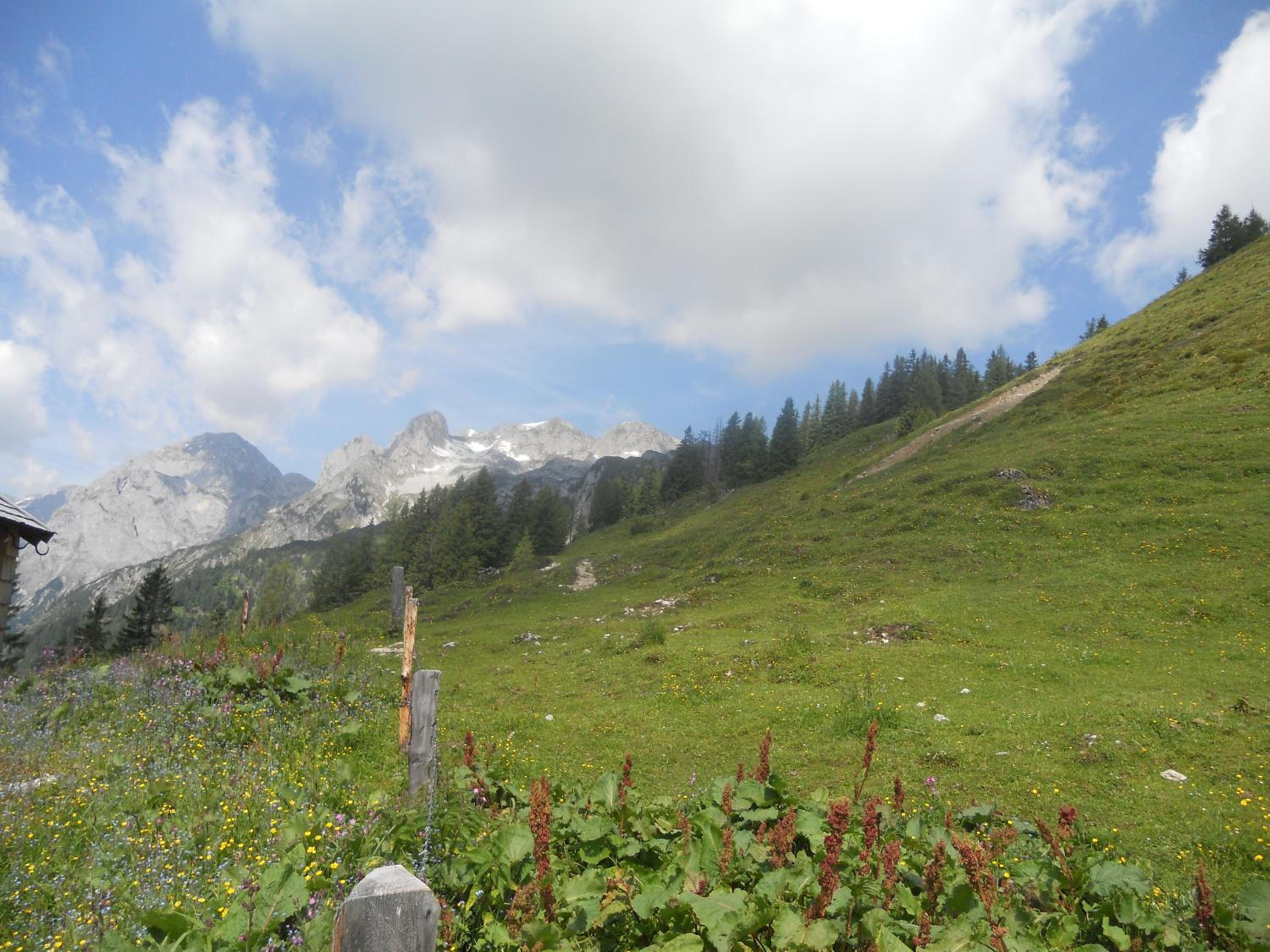 Vorderhof