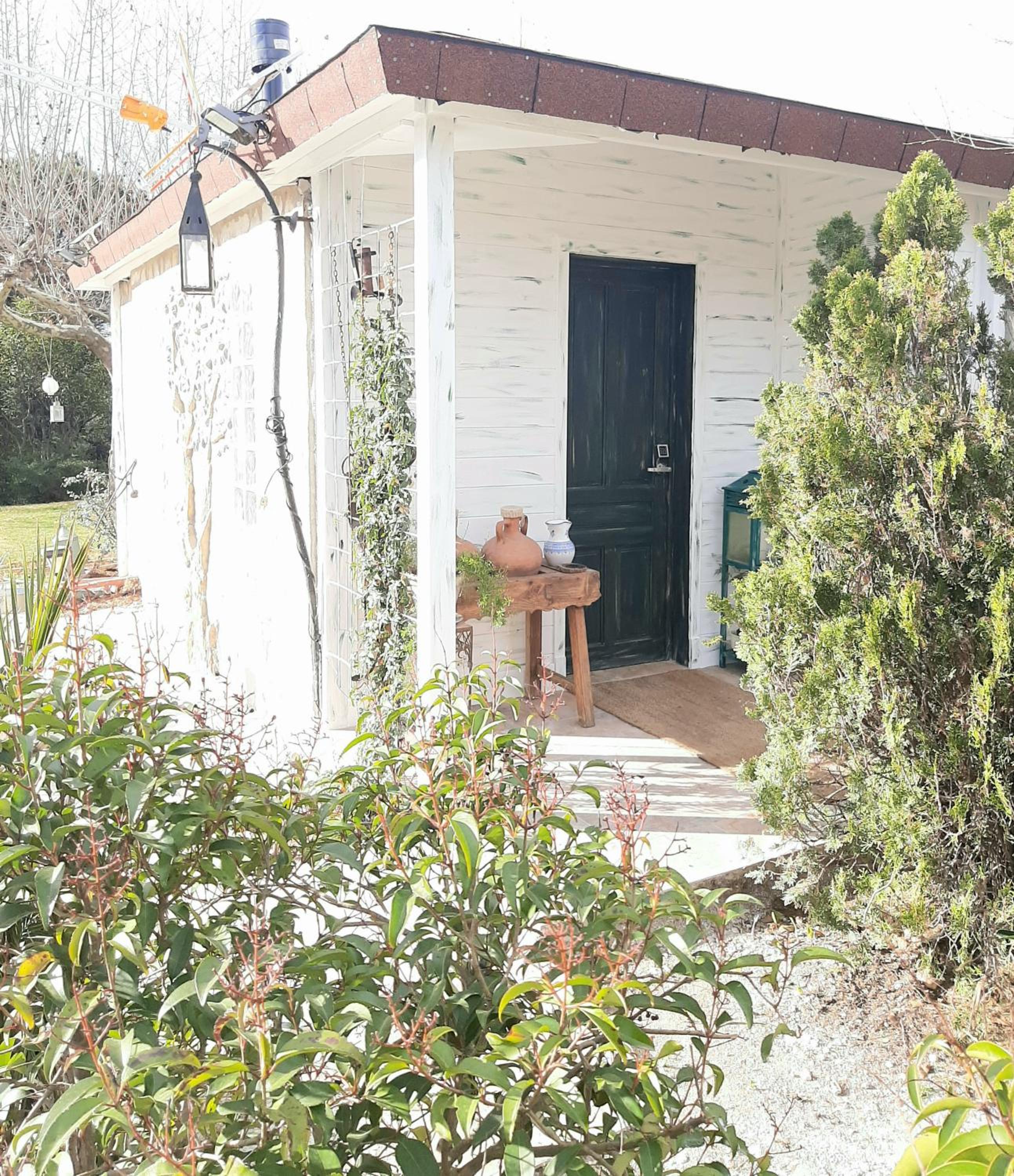 Photo 41