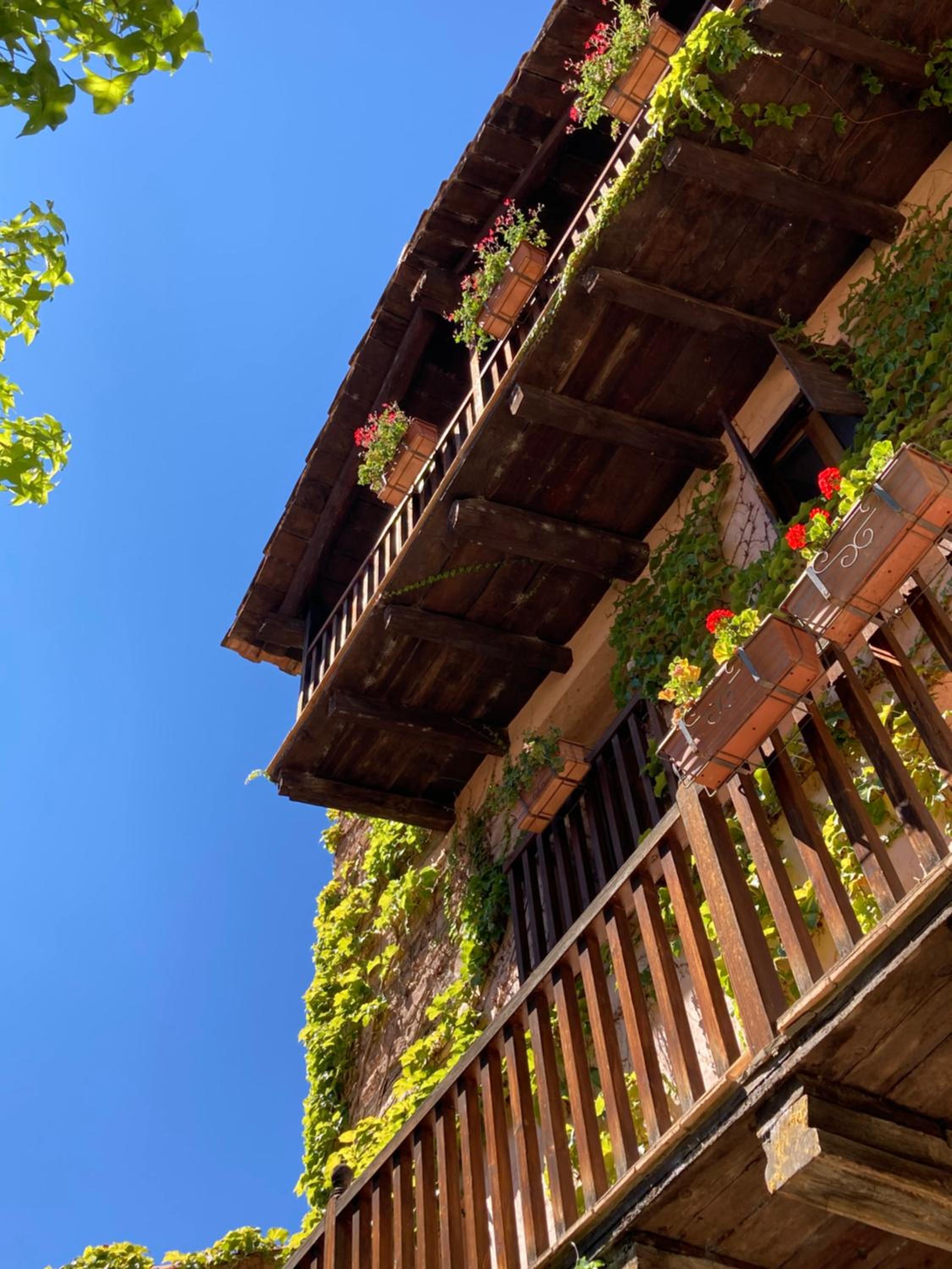La Casa del Bosque view 2