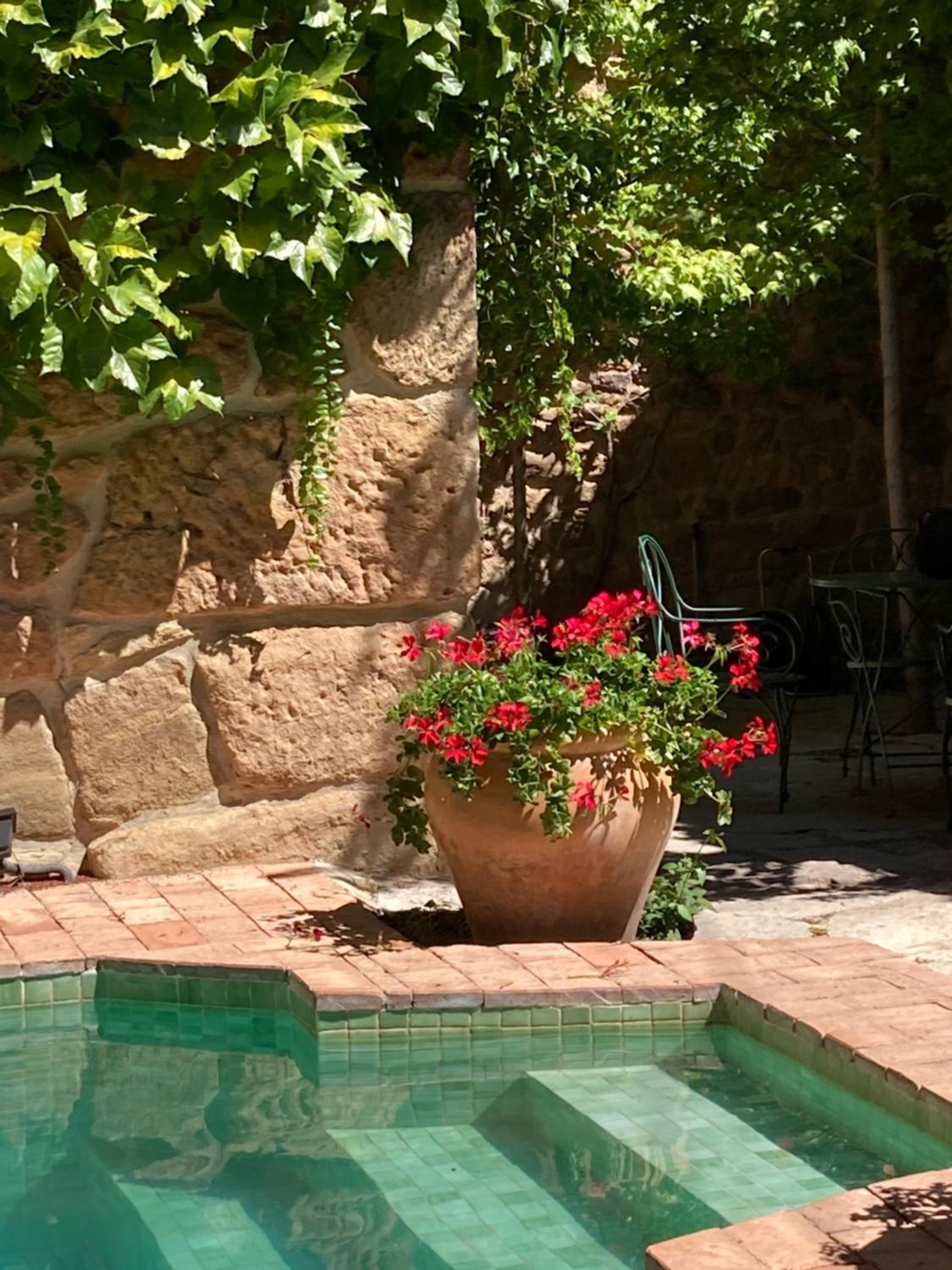 La Casa del Bosque view 3