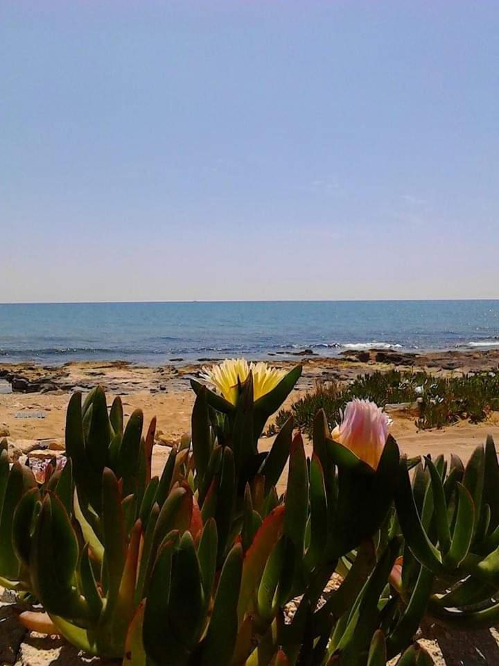 Casa Panarea - Villetta indipendente sul mare