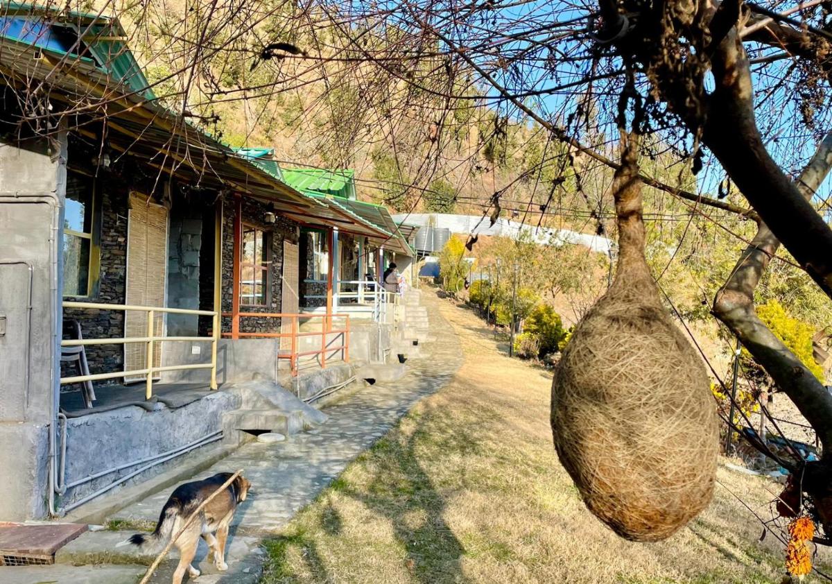 children's play area