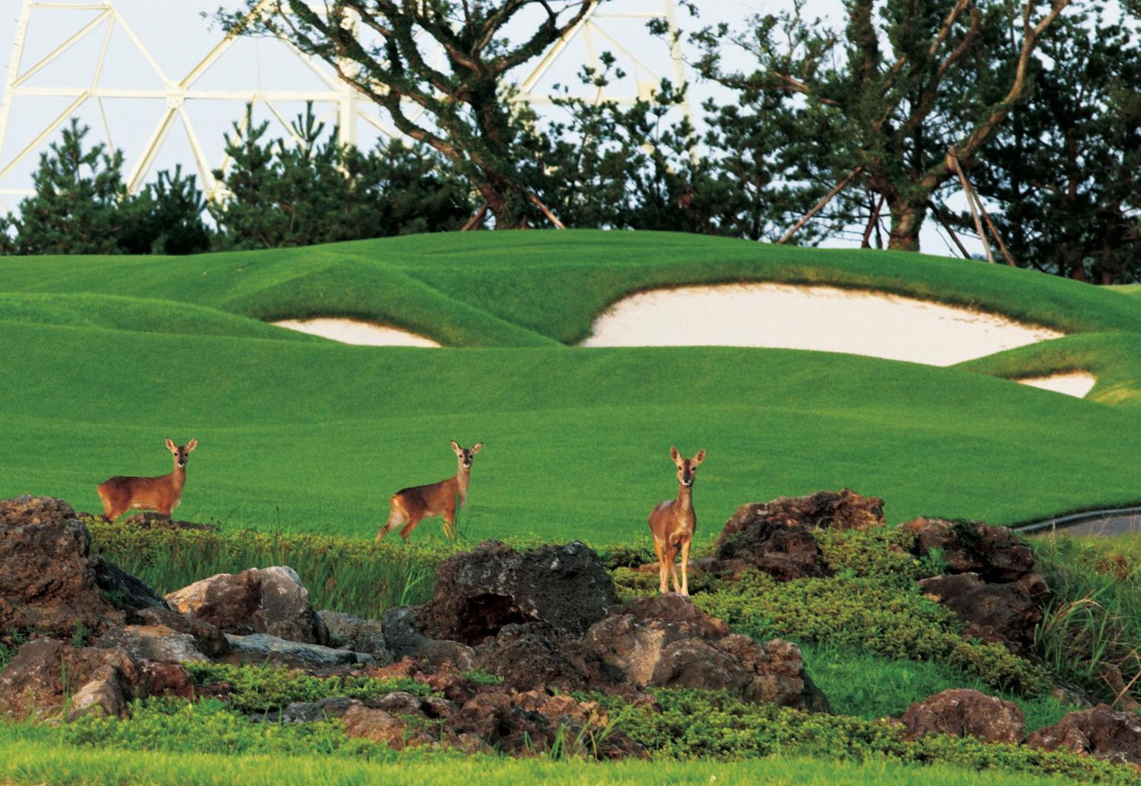 ArdenHill Resort & Golf