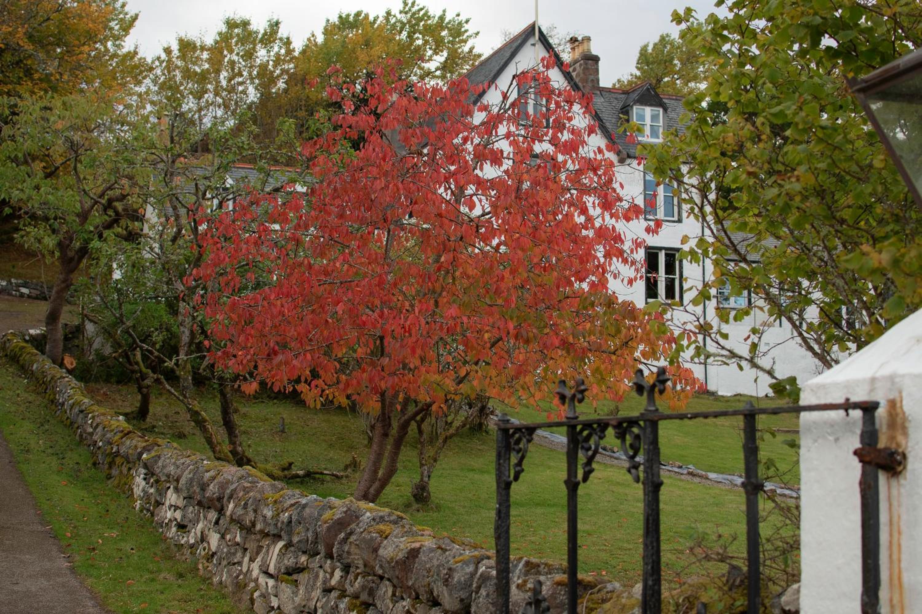 Photo 27
