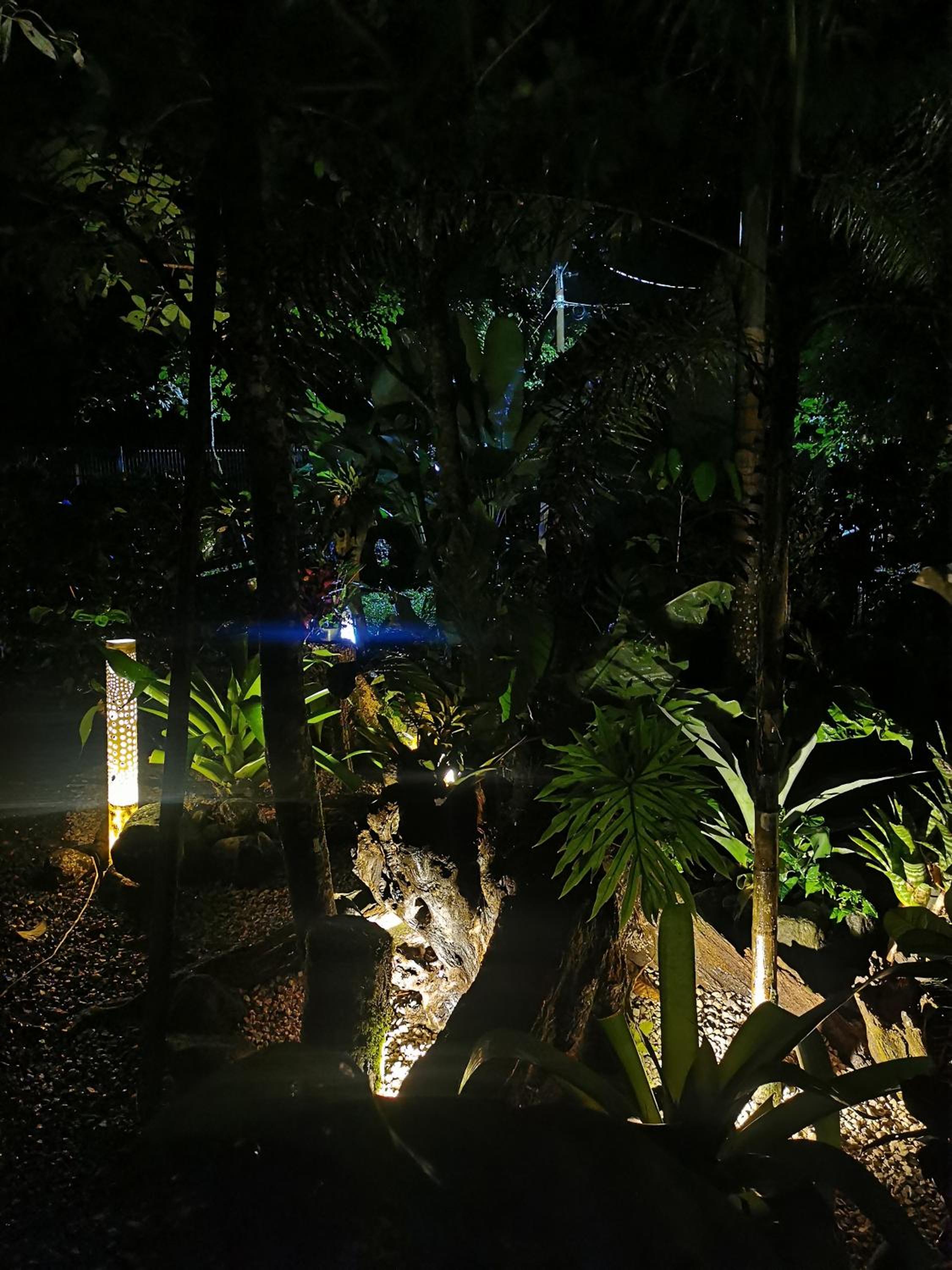 Photo 48