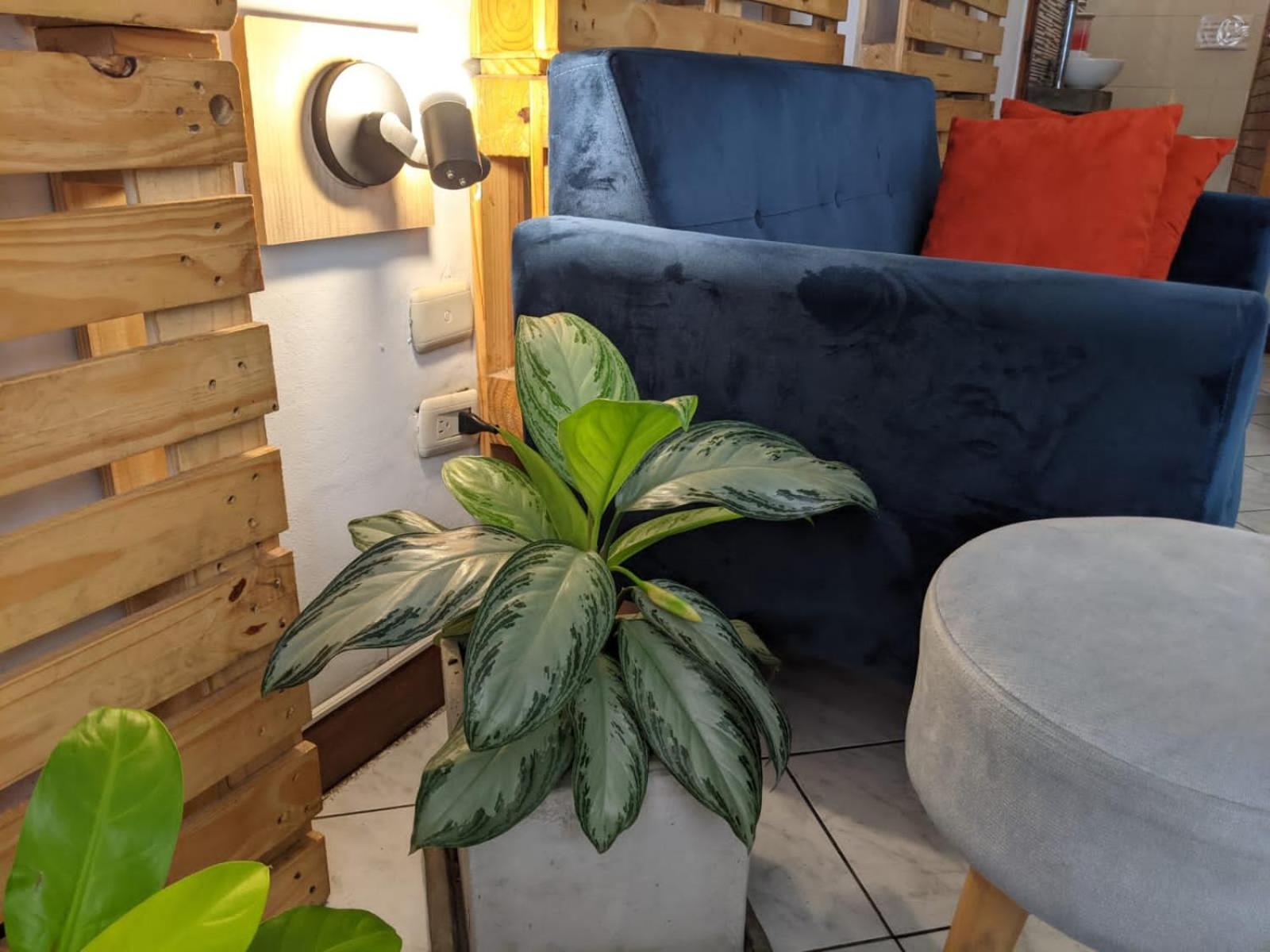 Hospedaje A Verde