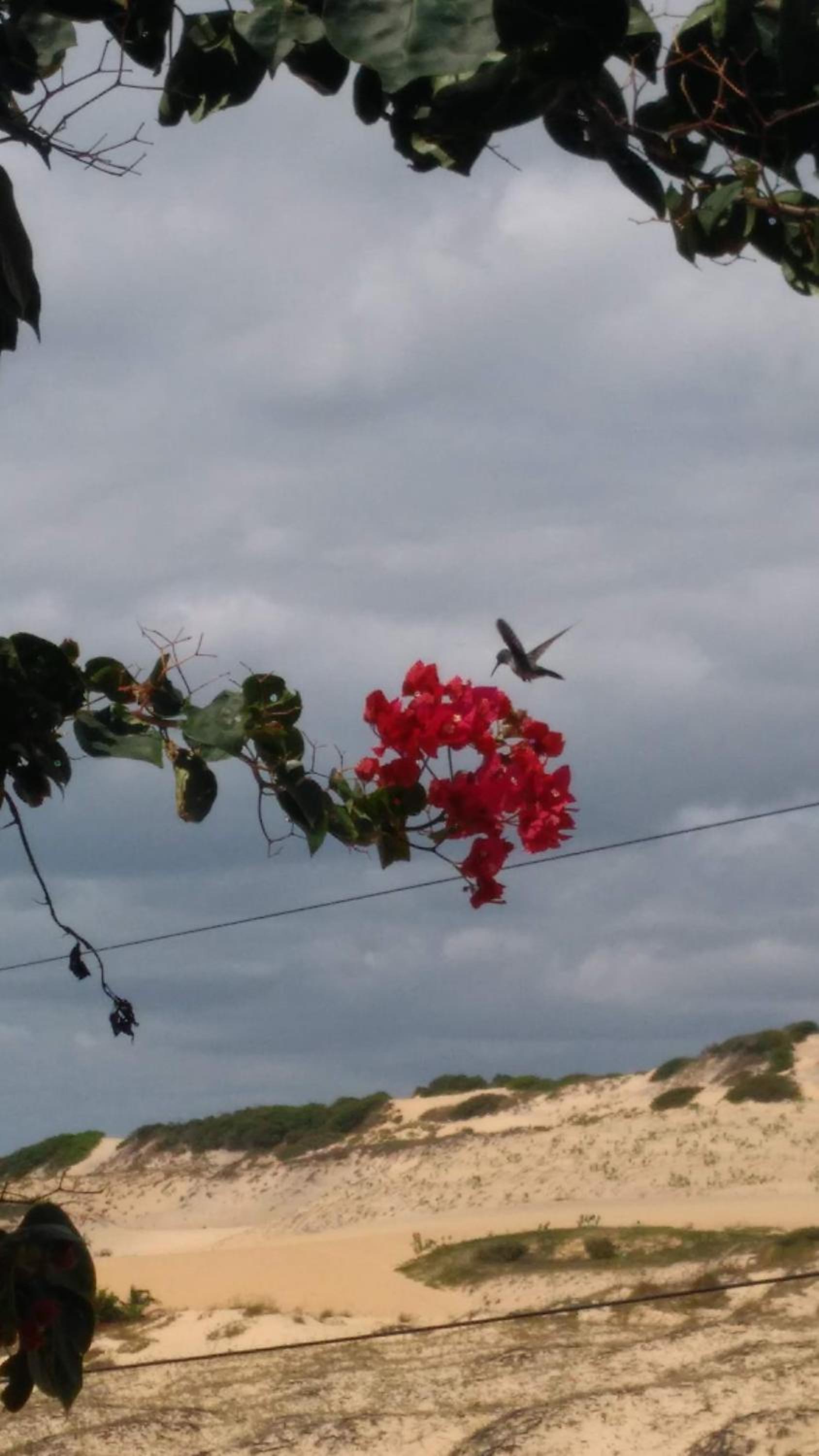 Vila Beija-flor