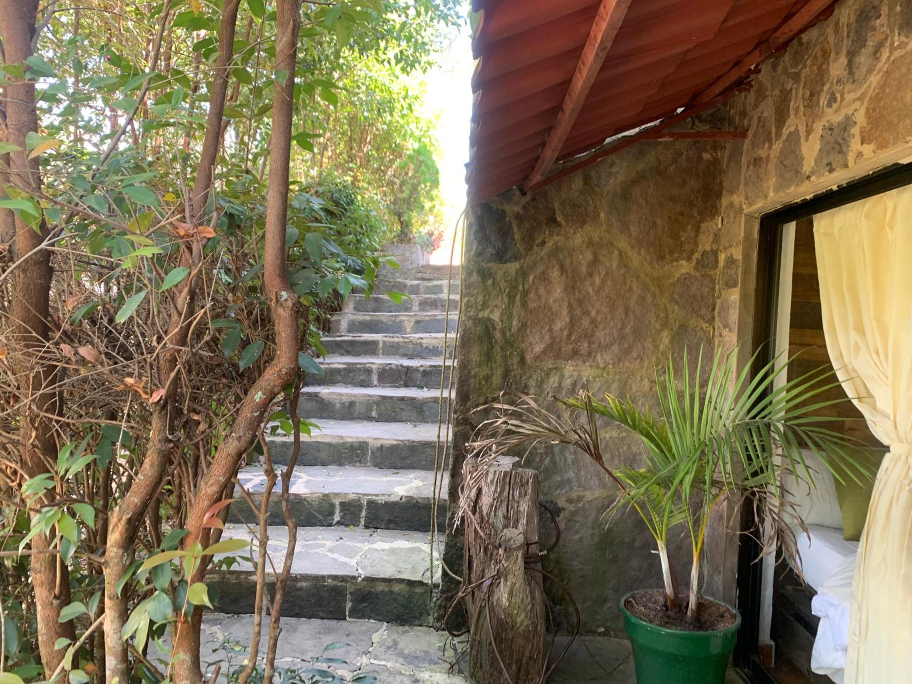 Hotel Campestre mirador CaloPala