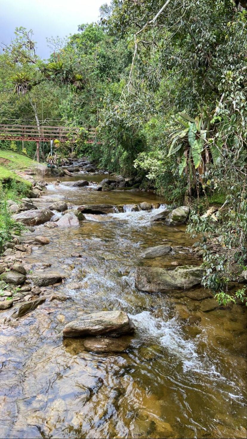 Chalé rústico truta dá floresta 3