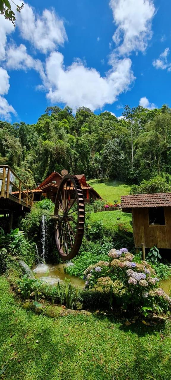 Chalé rústico truta dá floresta 3
