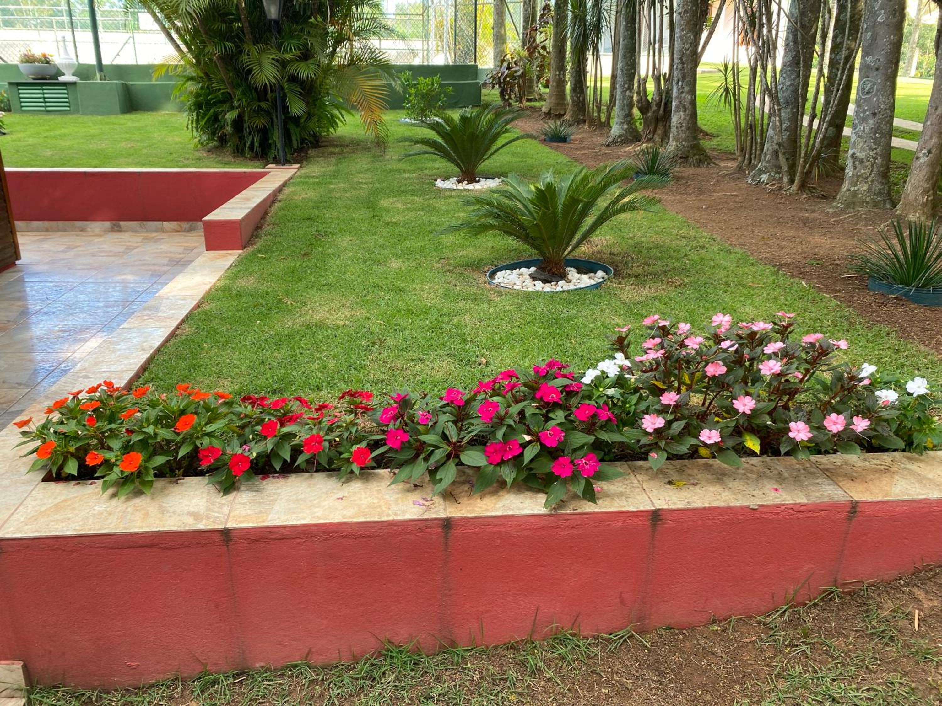 Chácara Green Hill view 5