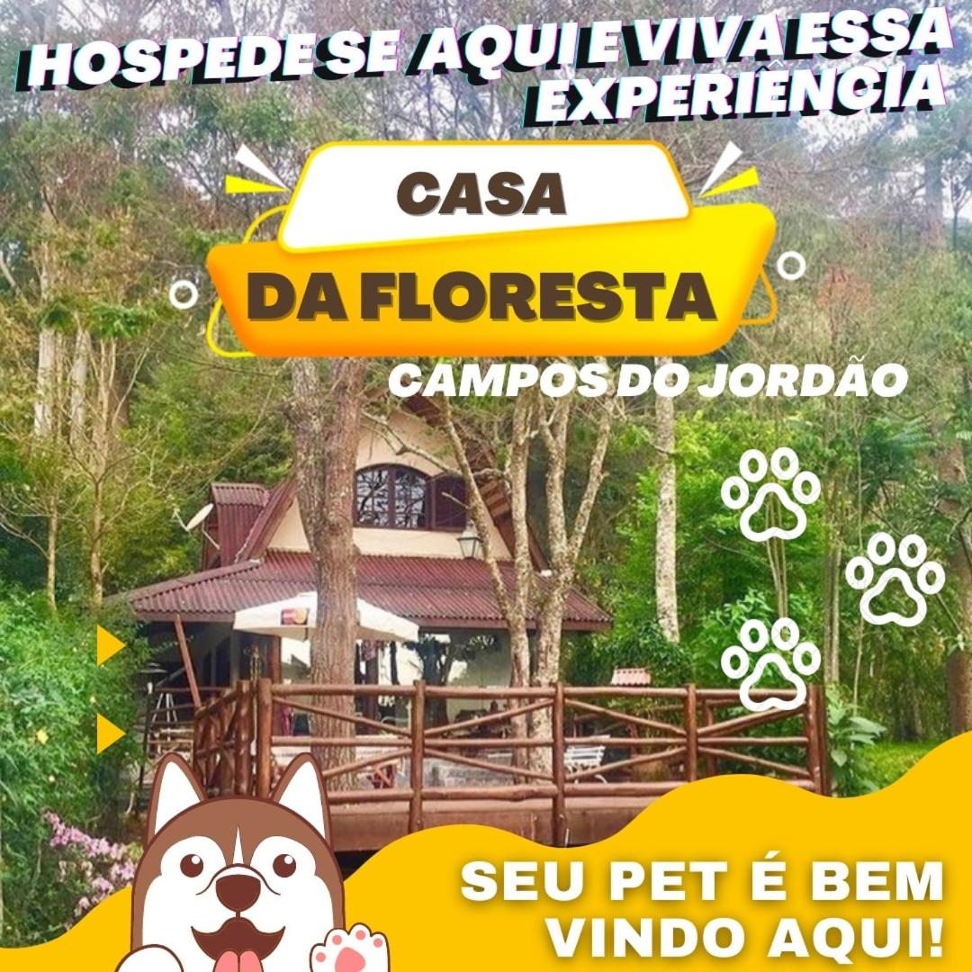 Casa na Floresta em Campos do Jordao