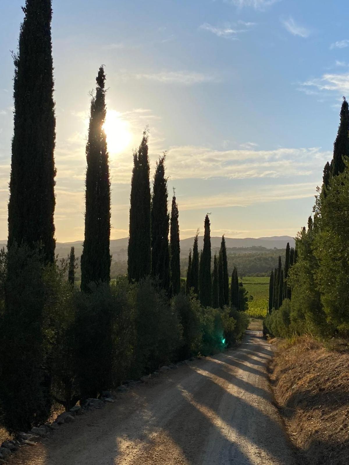 Artemisia negli ulivi b&b view 3
