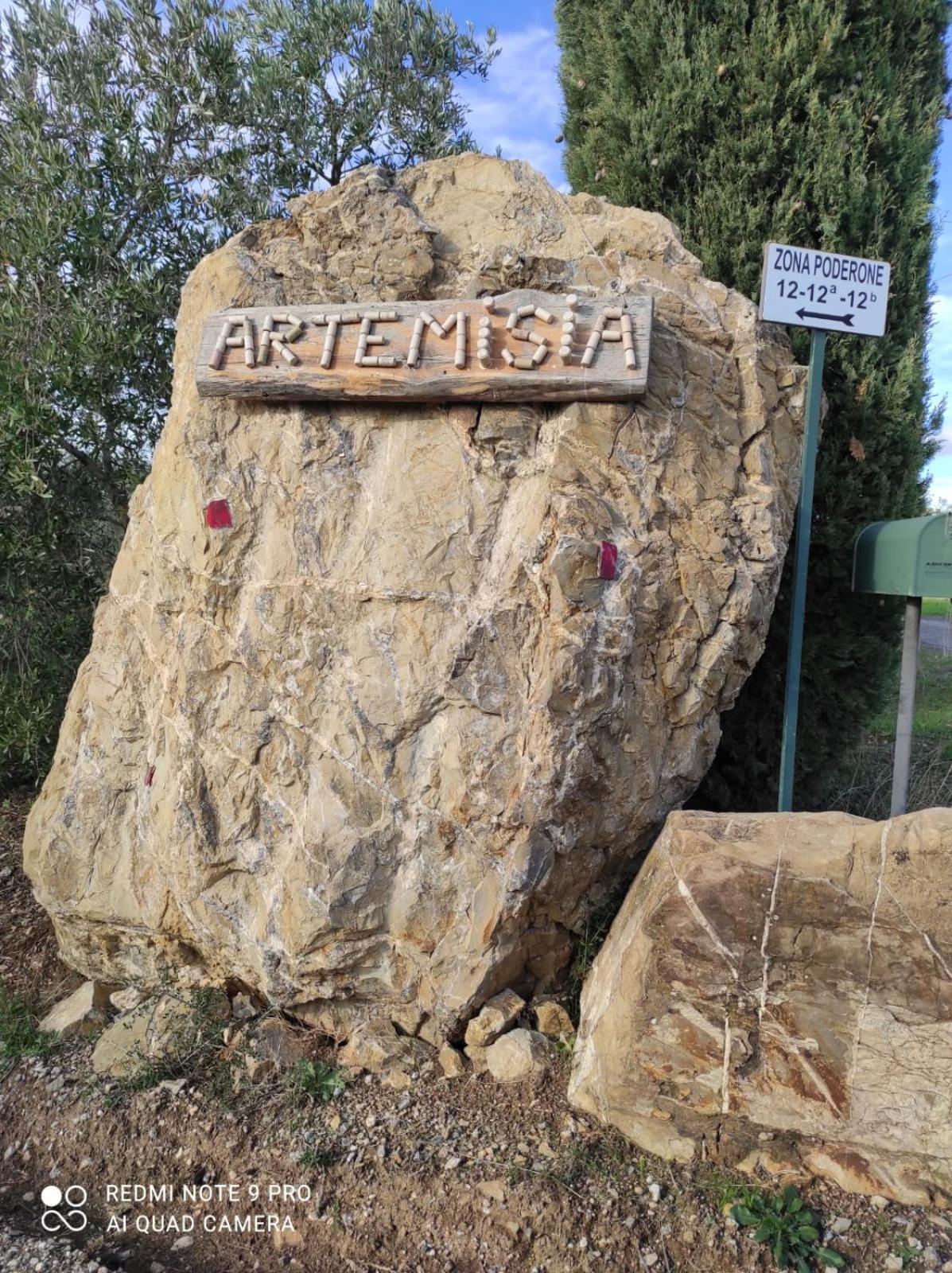 Artemisia negli ulivi b&b view 5