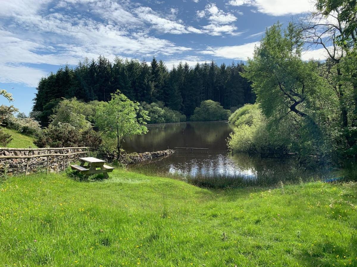 The Stables at Pentregaer Ucha, tennis court & lake view 4