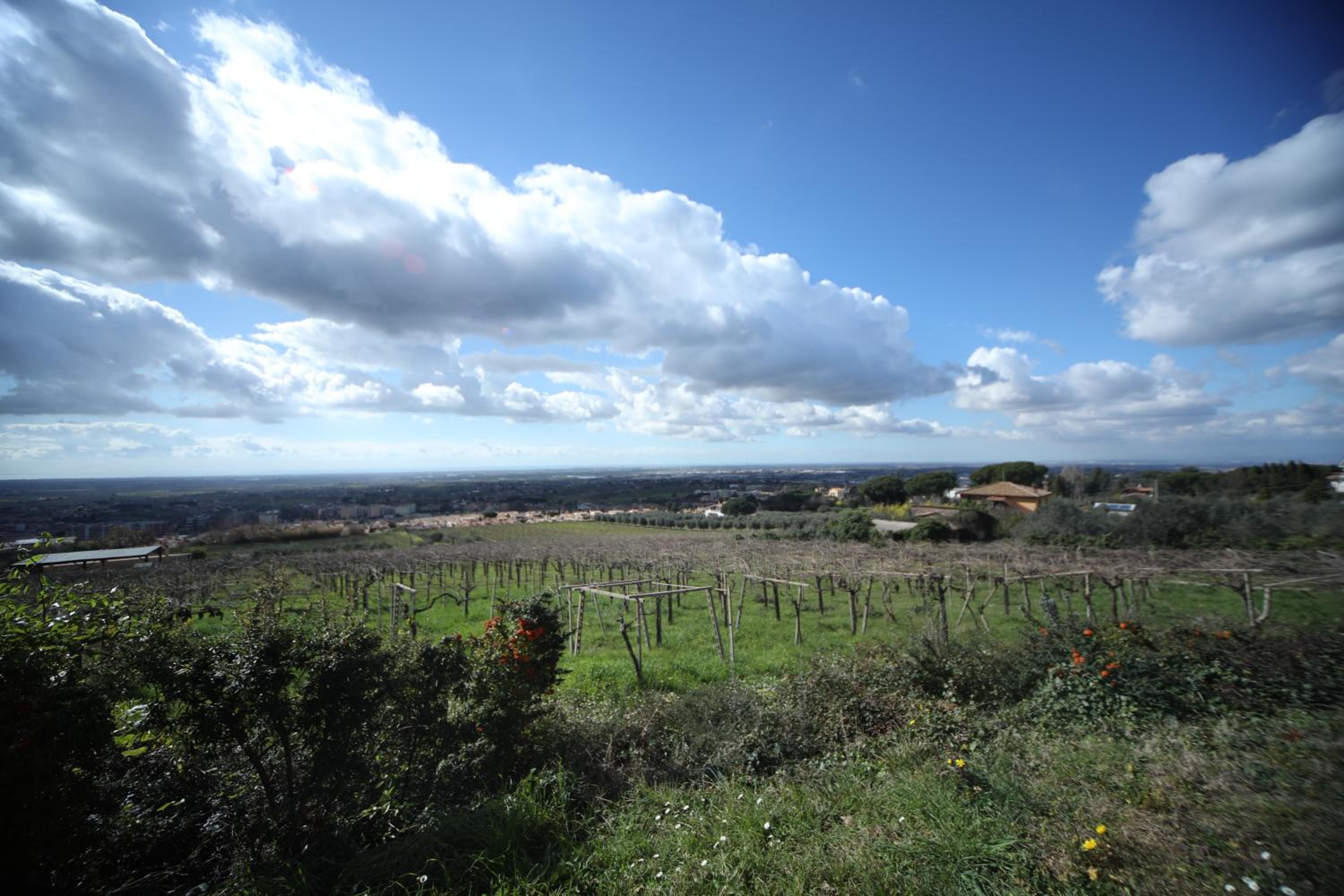 La Vista Agriturismo Boutique