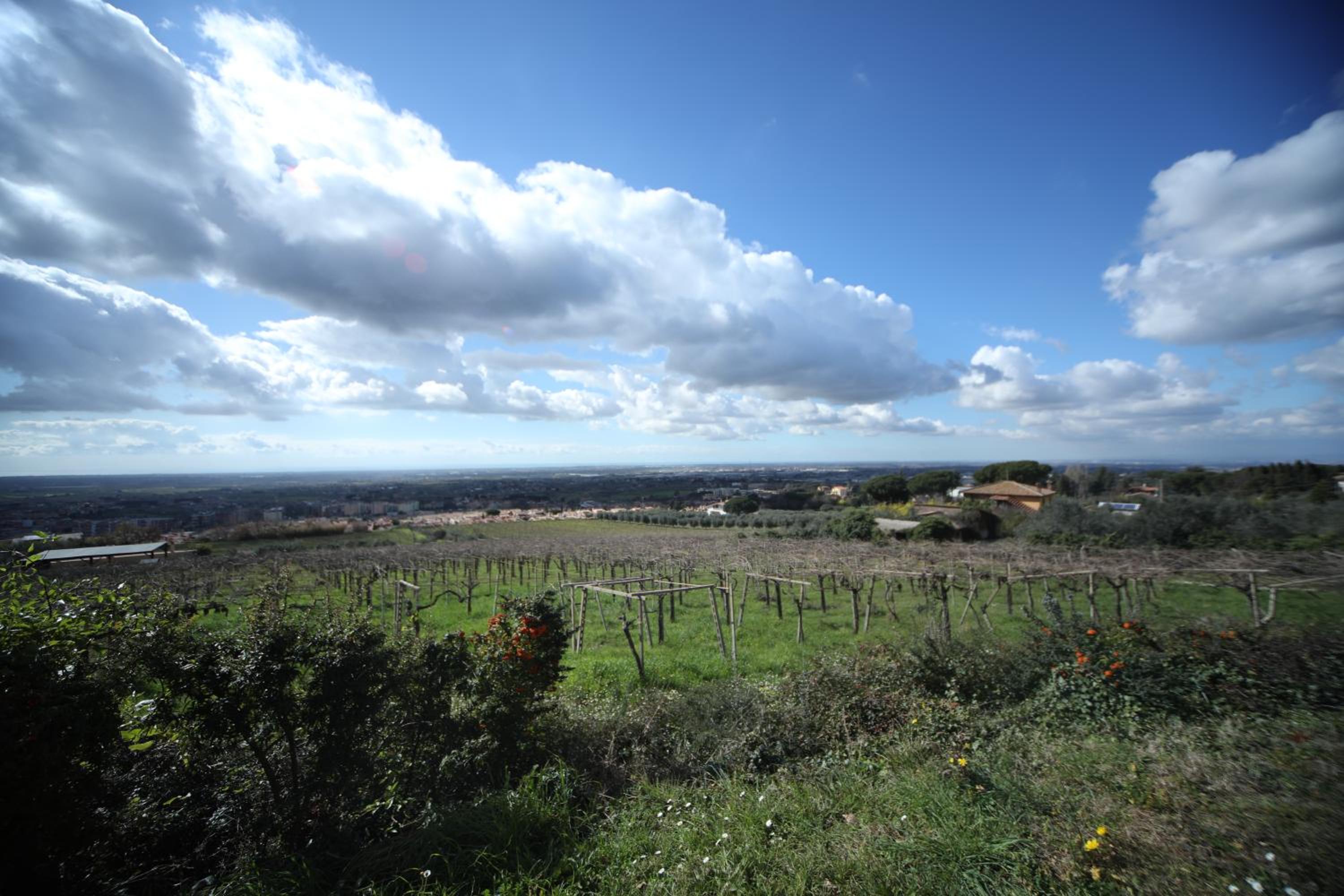 La Vista Agriturismo Boutique