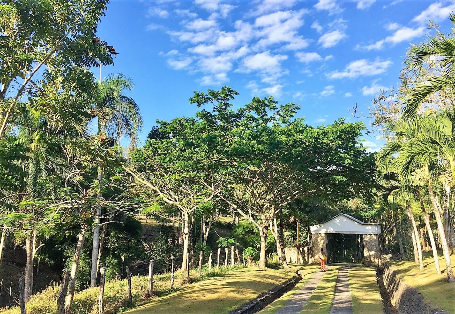 Serafina Organic Farm® view 3