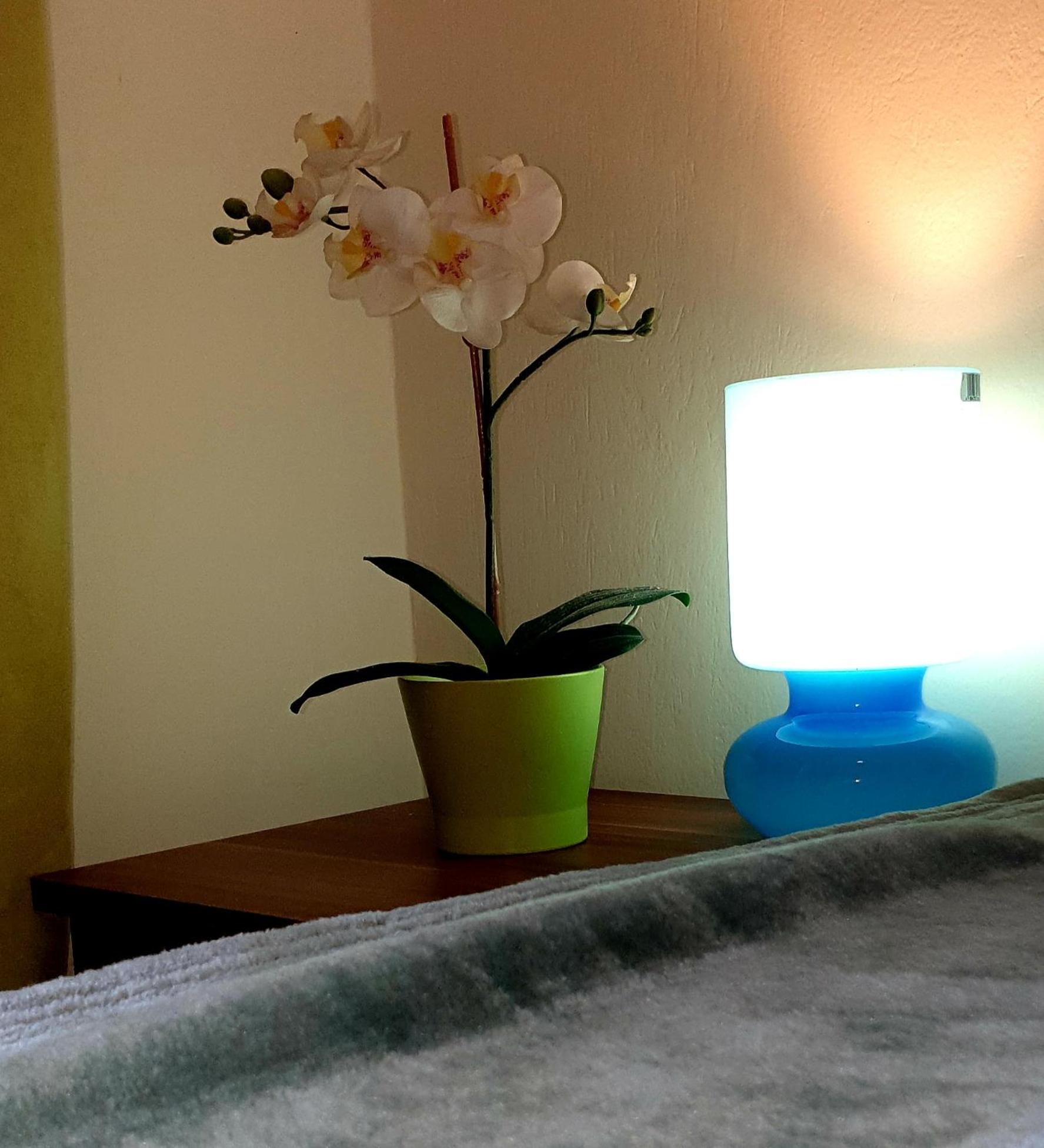 Apartment near sea Elpida's Edem
