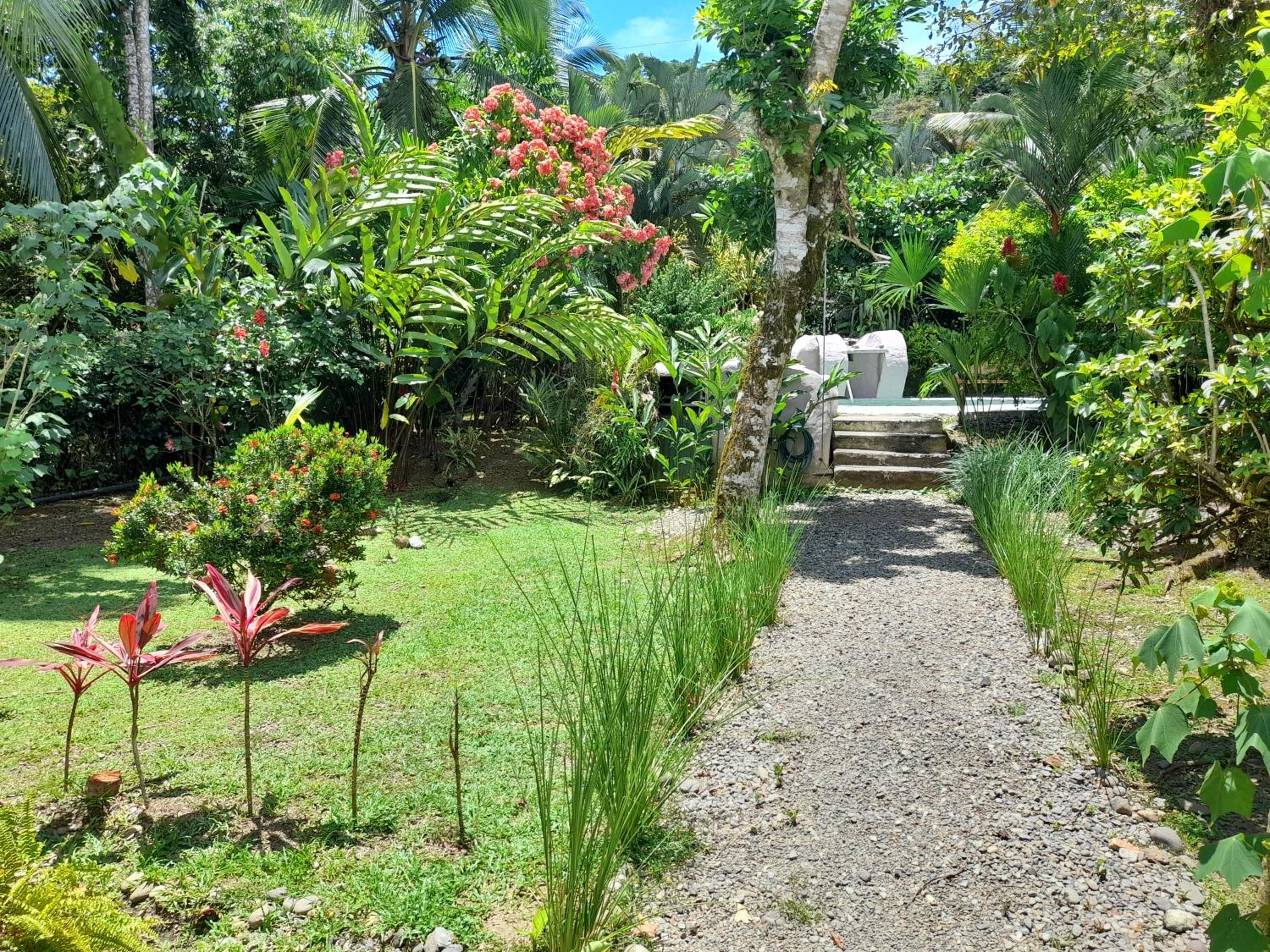 Hotel El Colibri Rojo