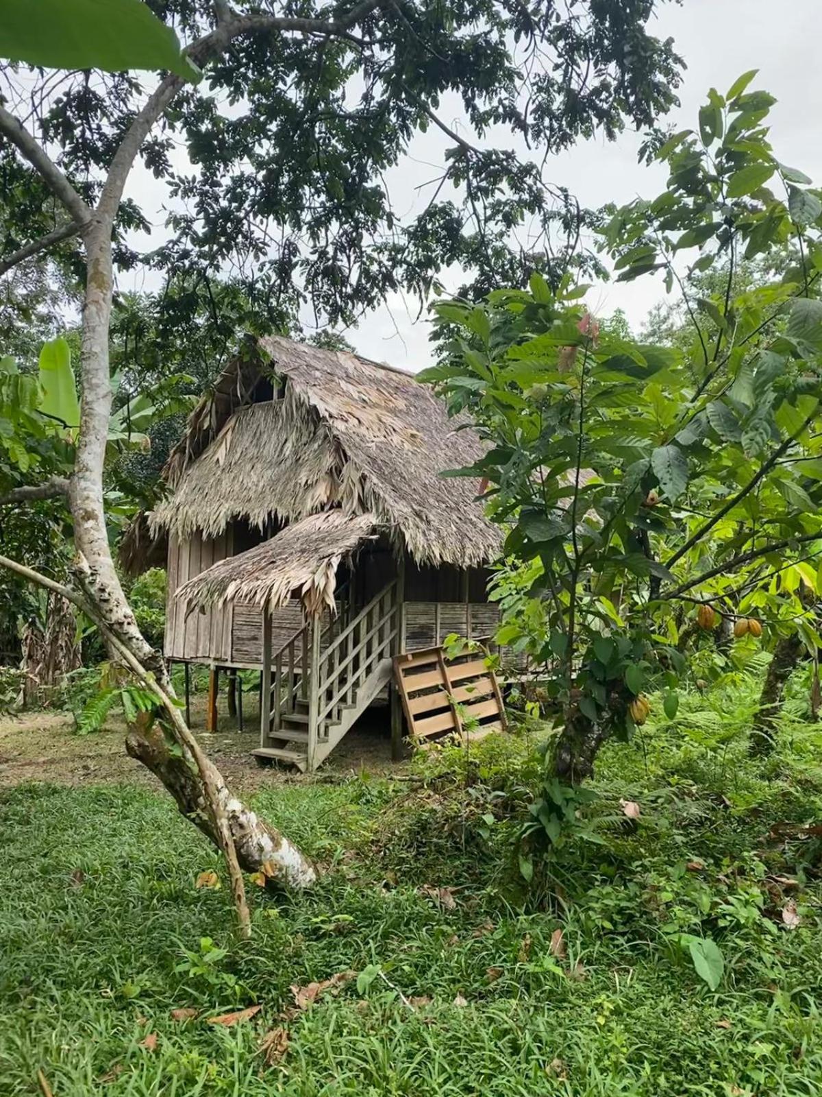 Hotel El Colibri Rojo