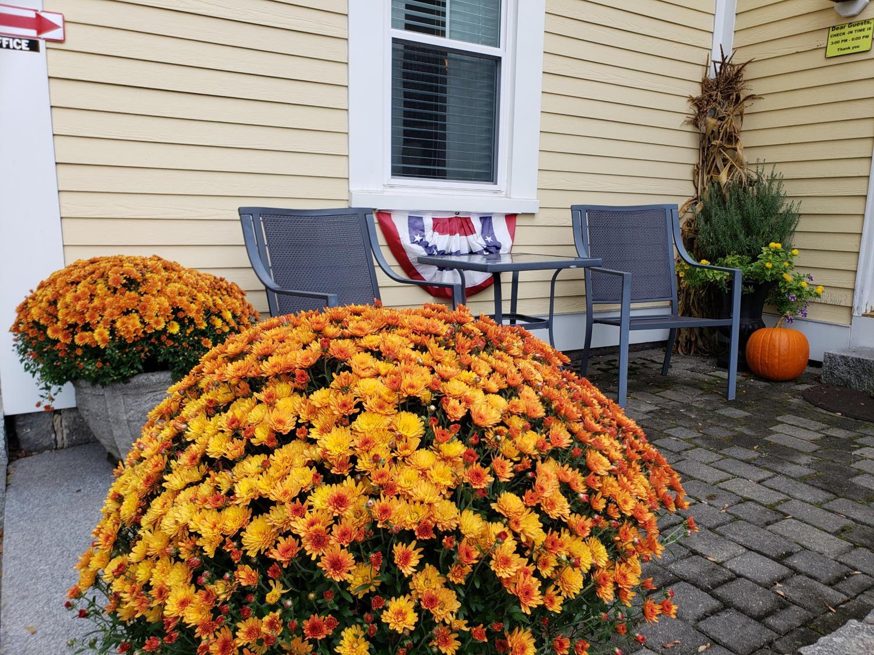 Elmere House Bed & Breakfast