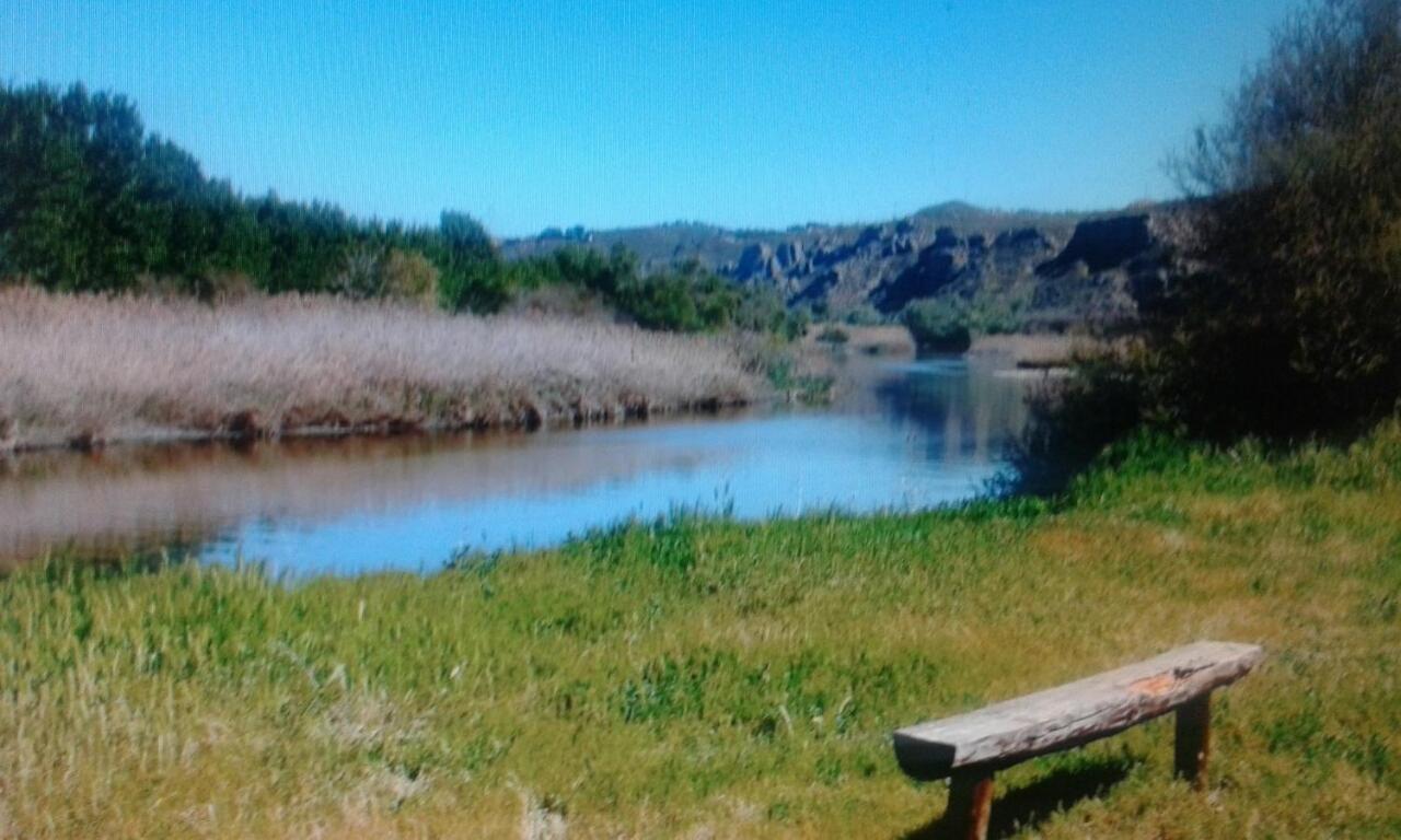 Photo 47