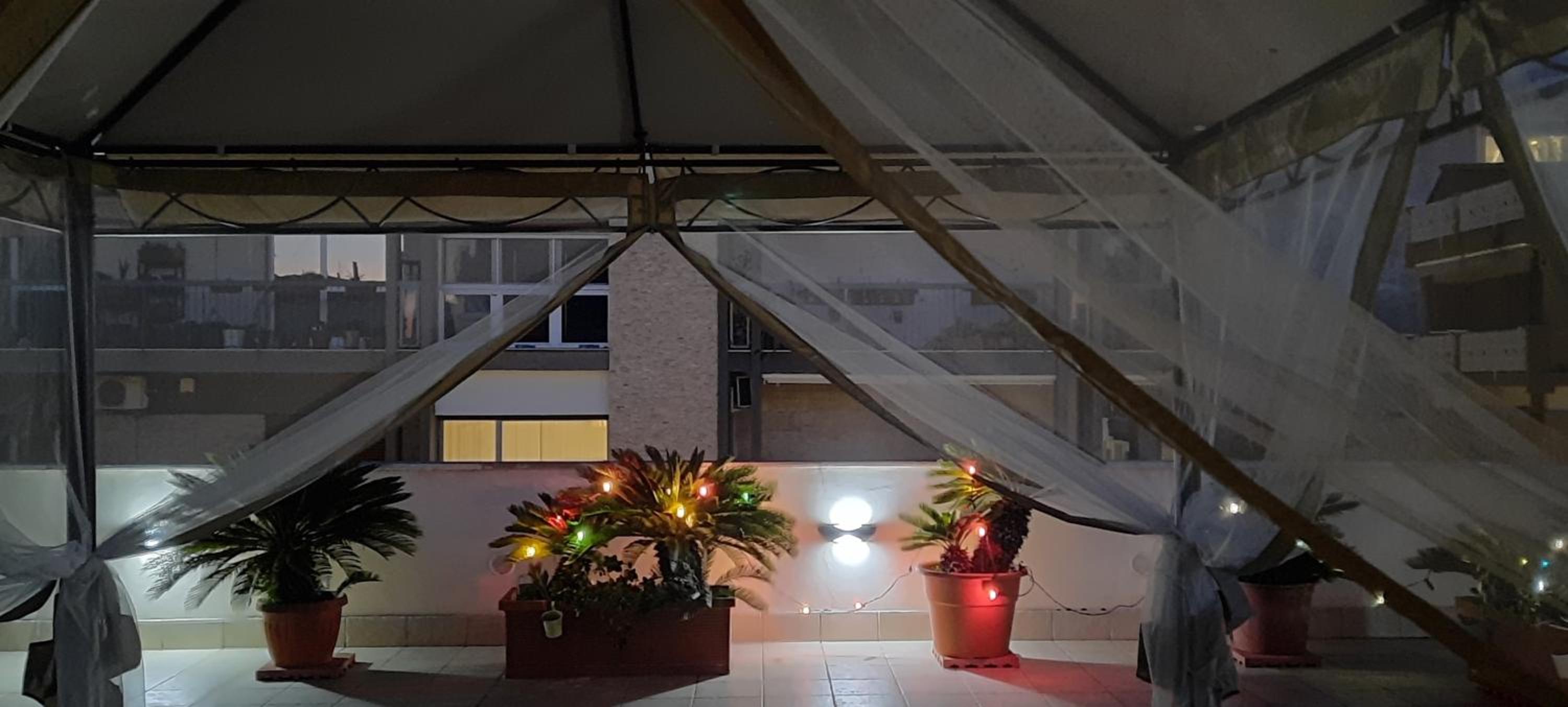 roof