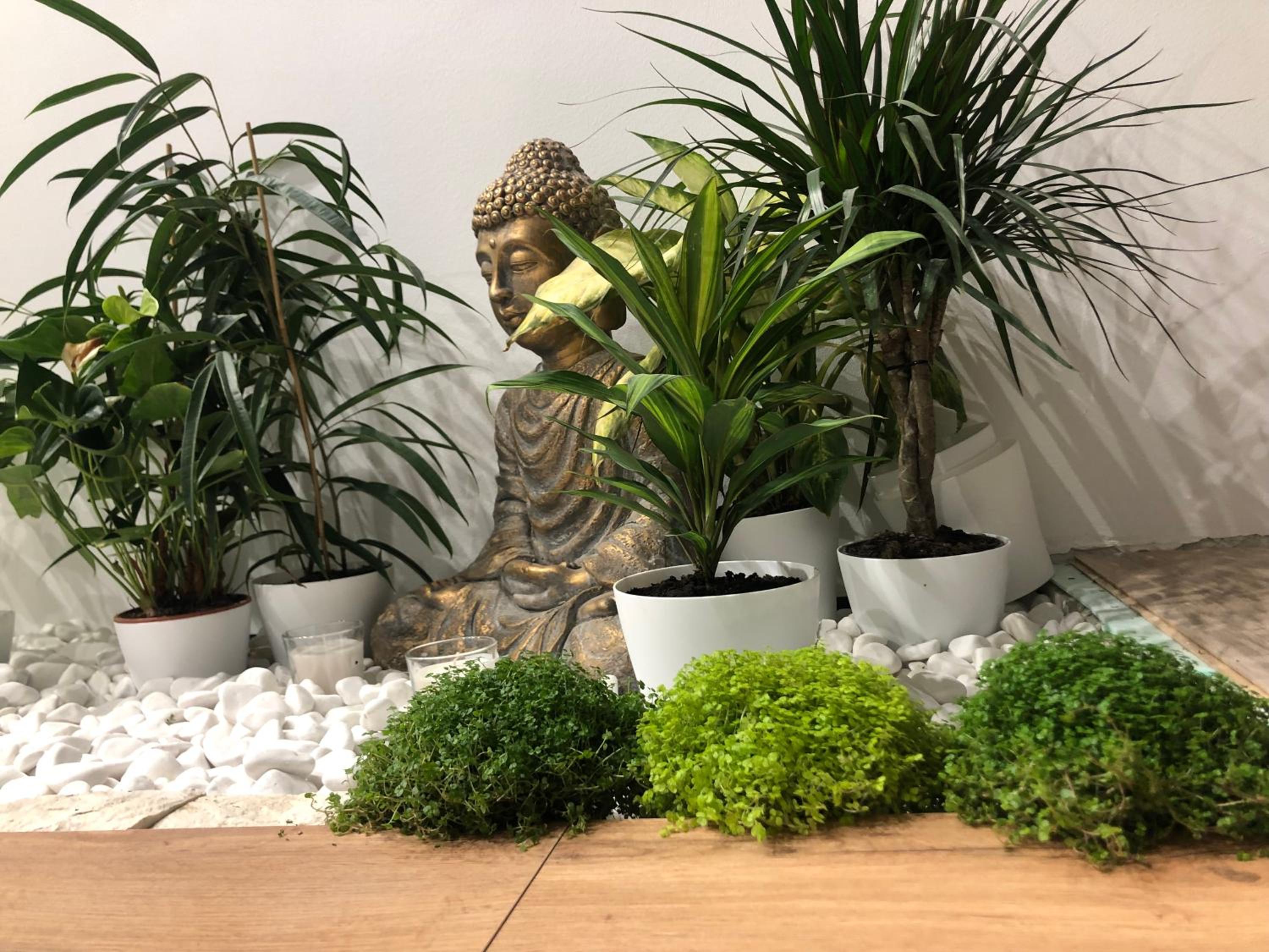 Garden House view 3