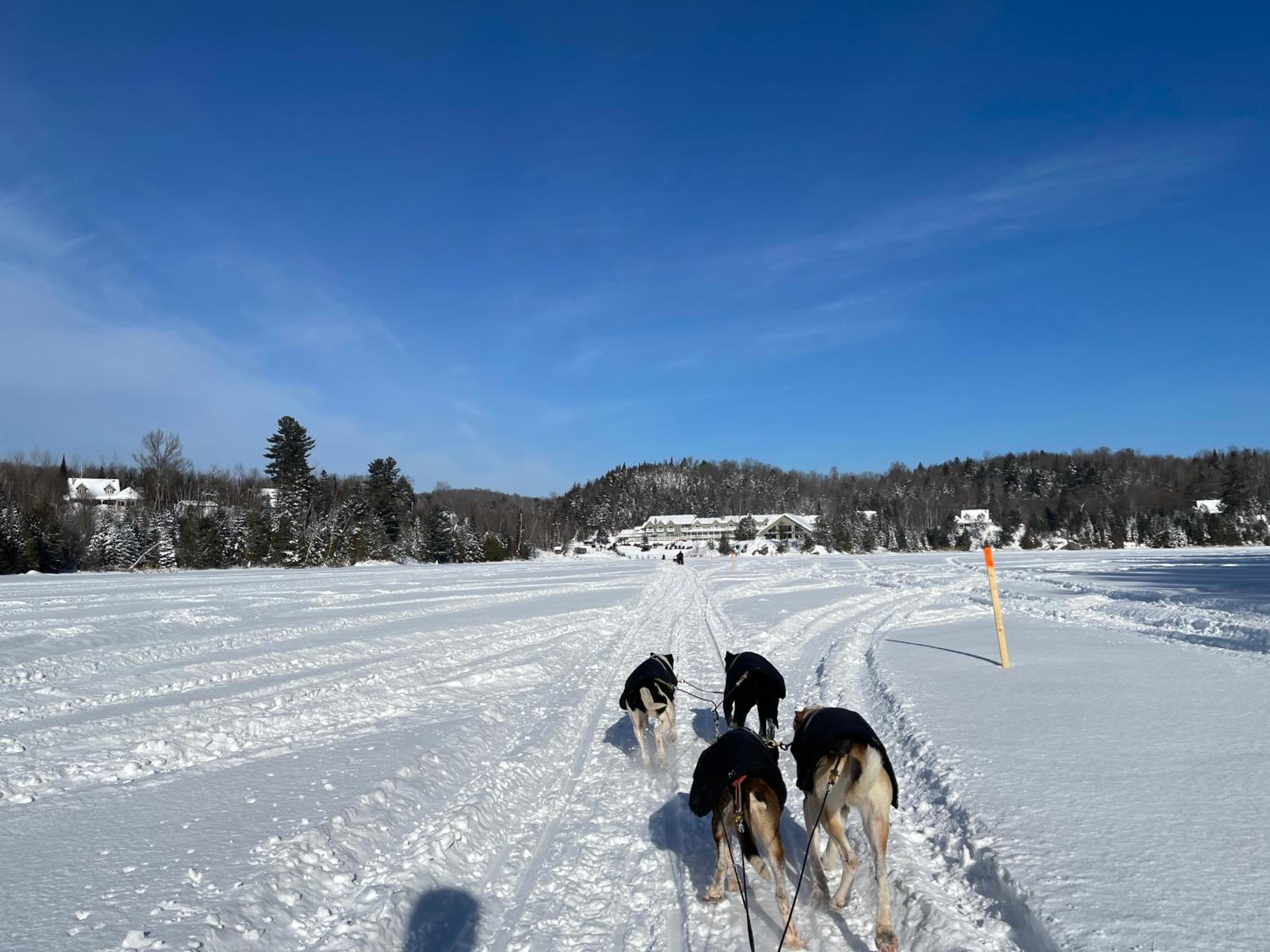 Pourvoirie du Lac Blanc