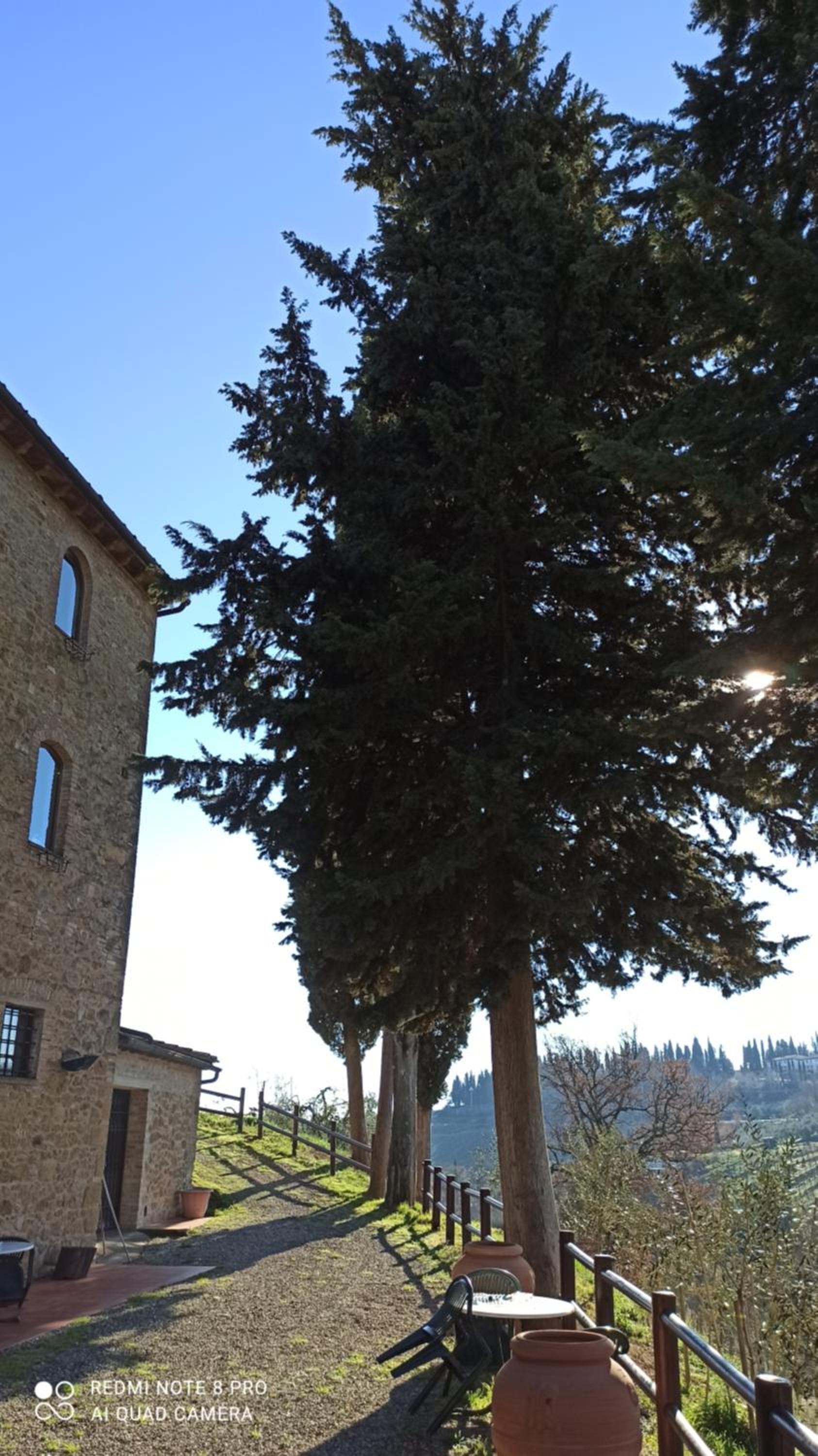 Rocca degli Olivi
