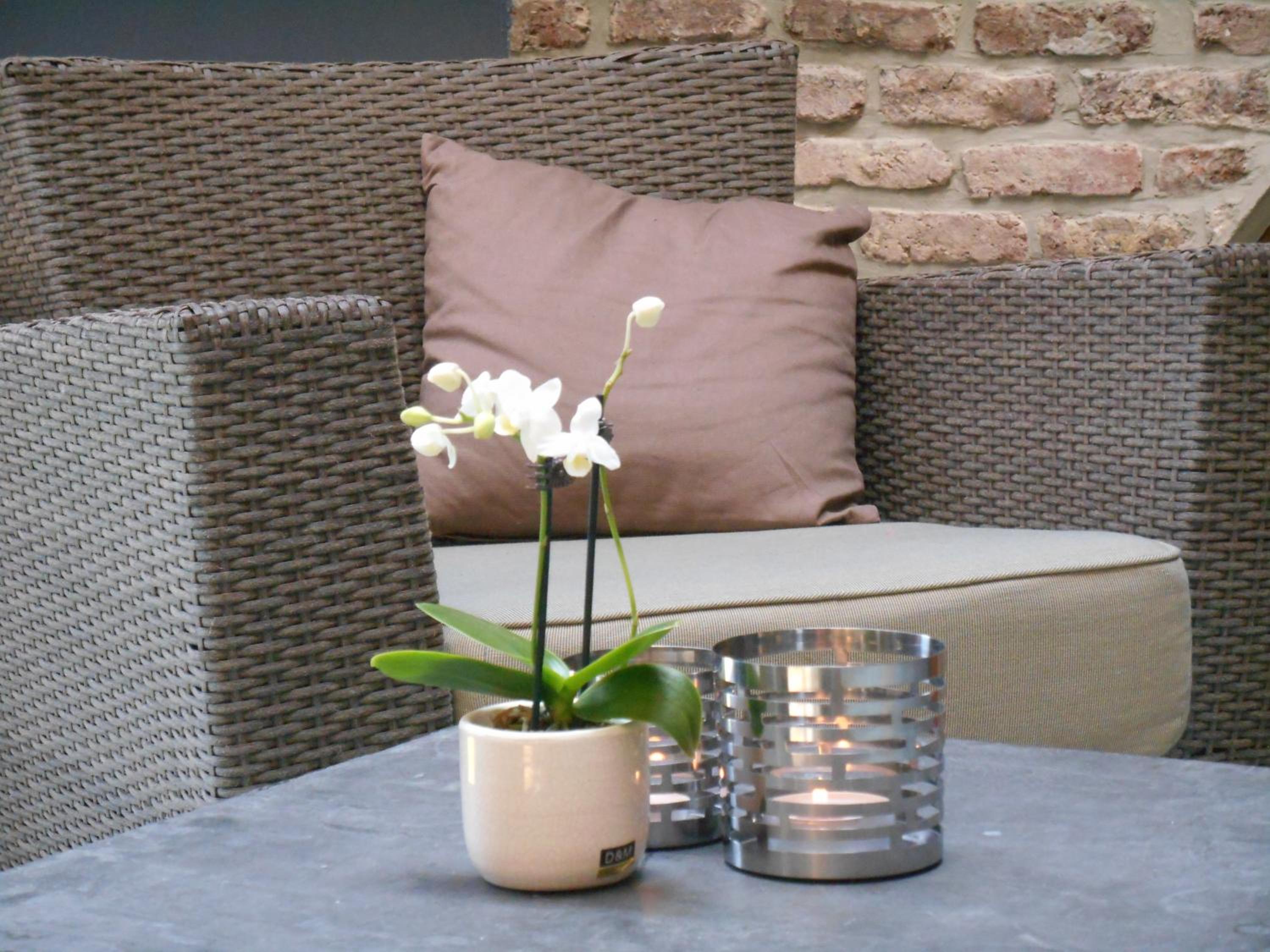 B&B A l'Ombre du Tilleul
